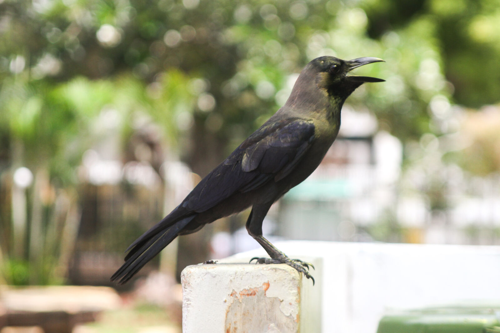 Canon EOS 7D sample photo