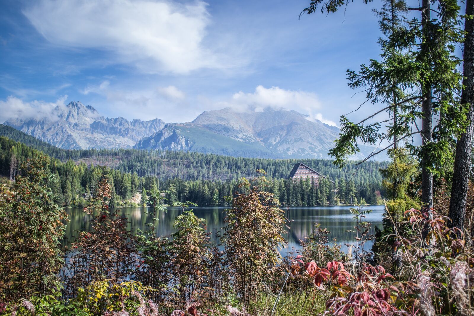 Nikon D3100 sample photo. Panorama, pleso, nature photography