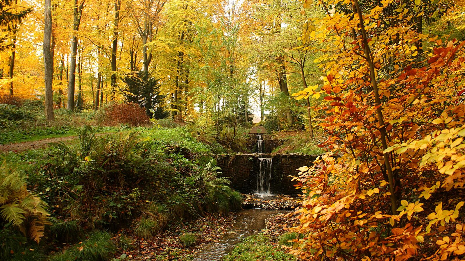 Sony Alpha DSLR-A350 sample photo. Autumn, fall colors, forest photography