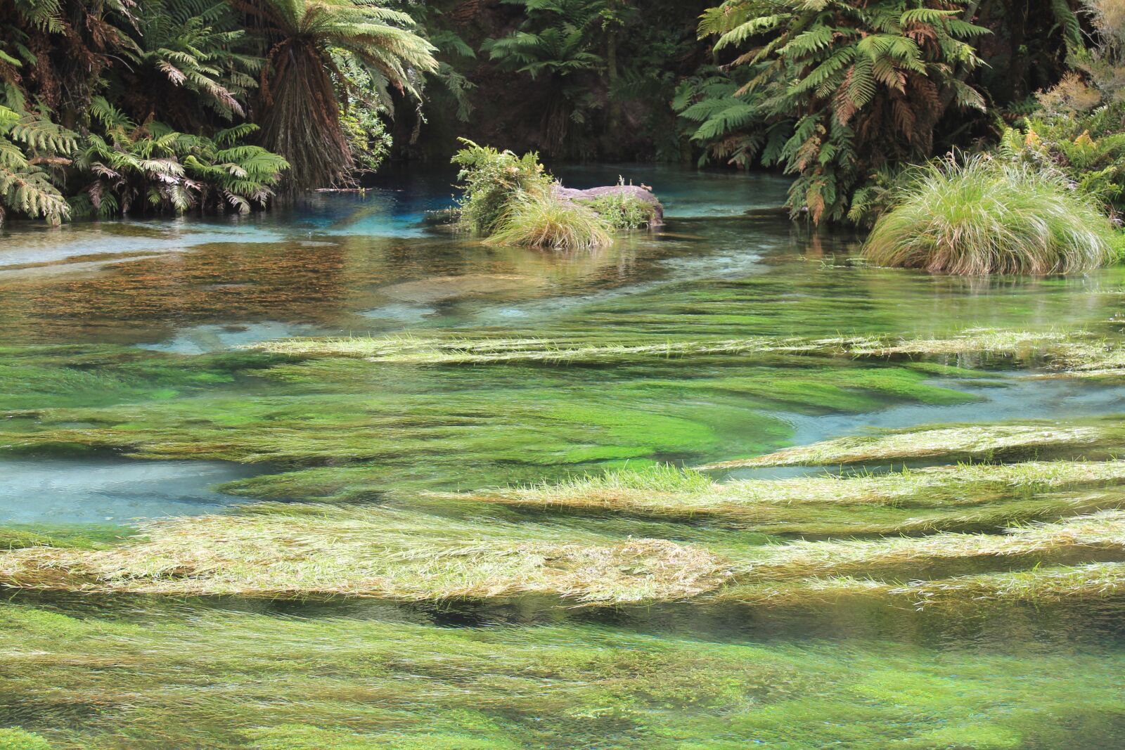 Canon EOS 550D (EOS Rebel T2i / EOS Kiss X4) sample photo. River, wonderful, water photography