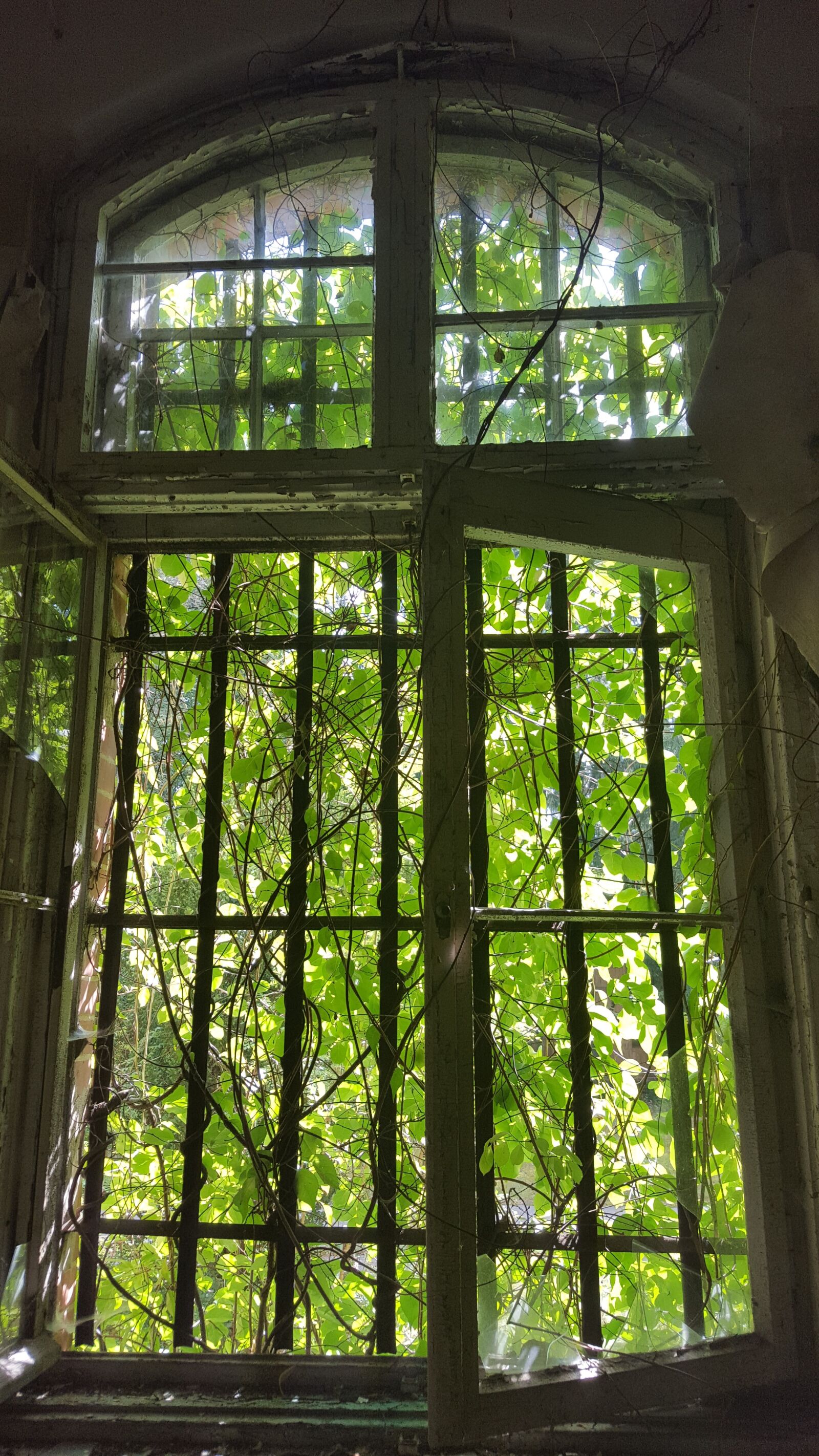 Samsung GALAXY S6 edge sample photo. Urbex, window, beelitz heilst photography