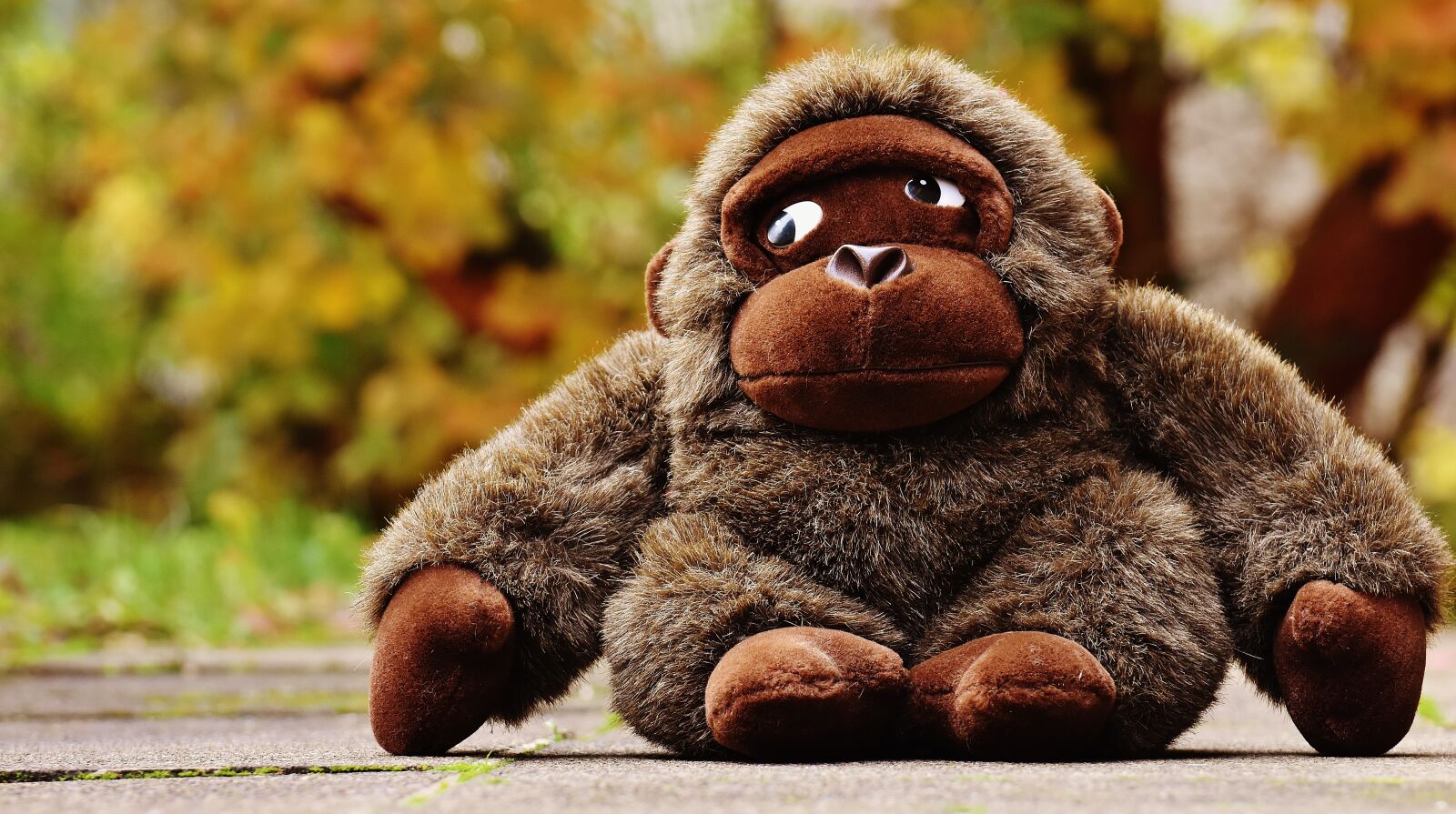 Nikon D7200 sample photo. Monkey, gorilla, toys photography