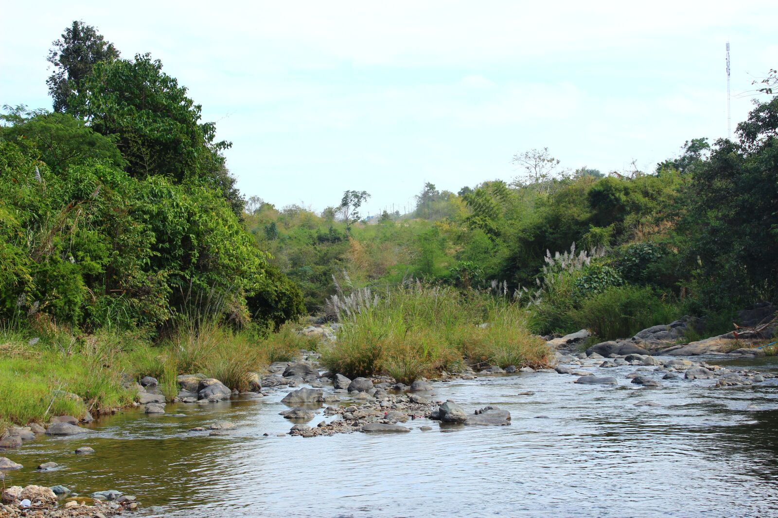 Canon EOS 600D (Rebel EOS T3i / EOS Kiss X5) sample photo. Water fall, tree, landscape photography