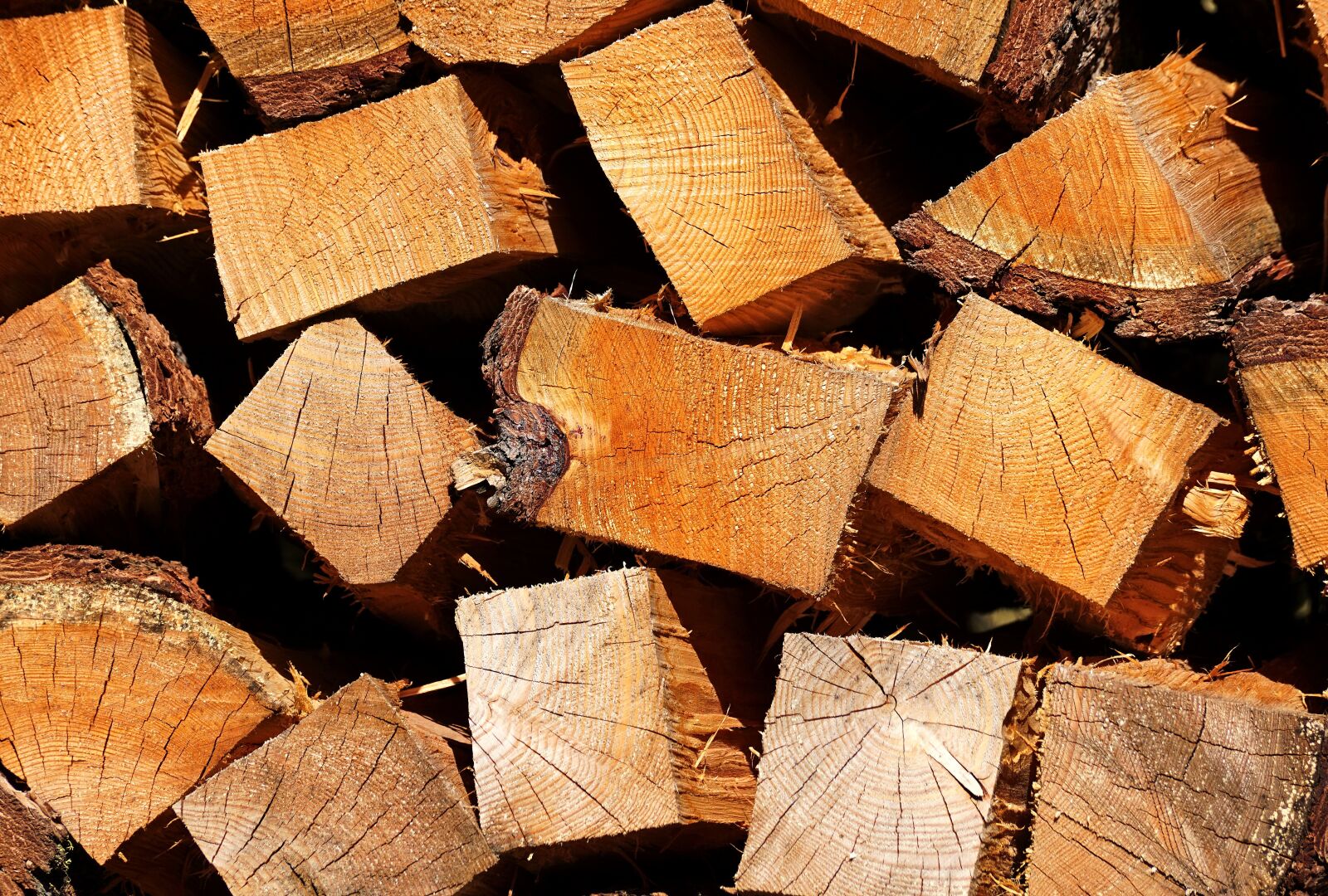 Sony DT 55-300mm F4.5-5.6 SAM sample photo. Stack of wood, winter photography