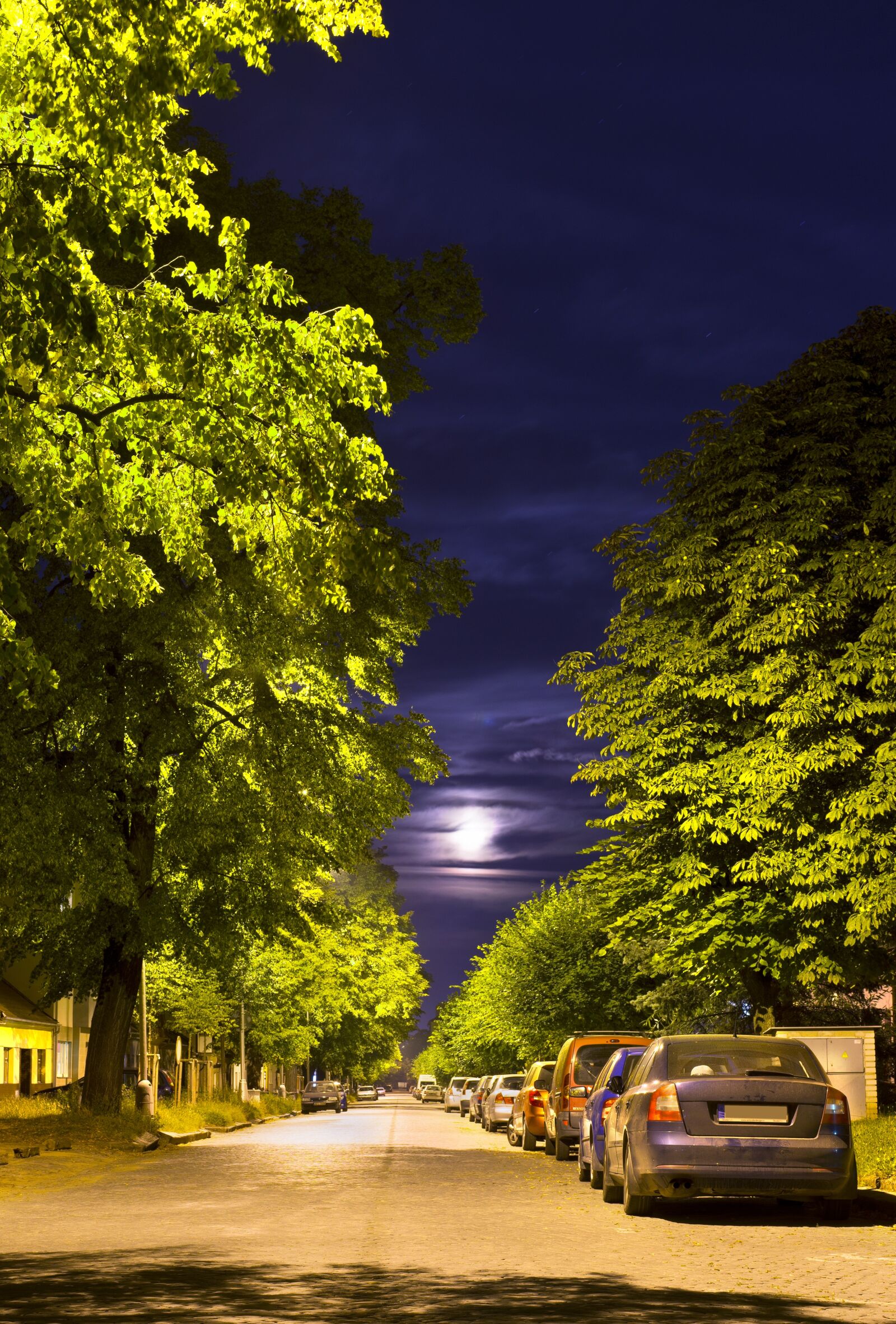 Nikon D610 sample photo. Night street, paving, trees photography