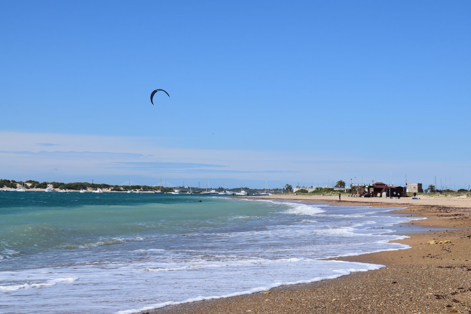 Nikon D3300 sample photo. Beach, sea, seagull photography