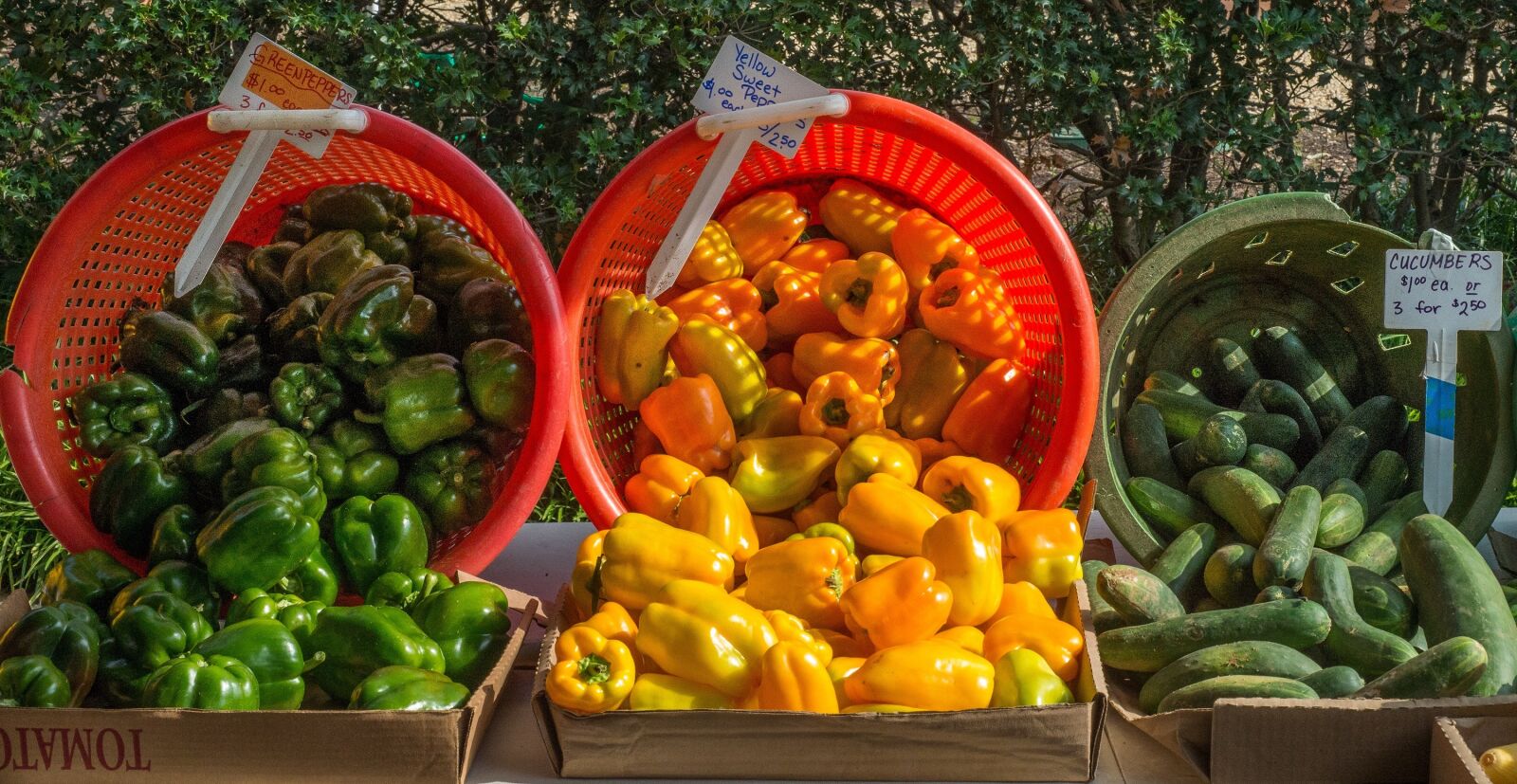 Nikon D4 sample photo. Market, vegetables, healthy photography