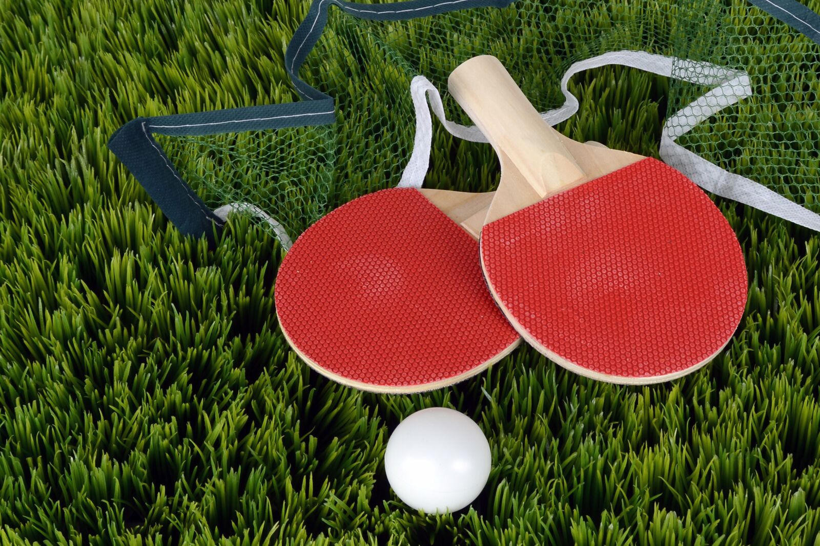 Nikon D7100 sample photo. Table tennis, ping-pong, bat photography
