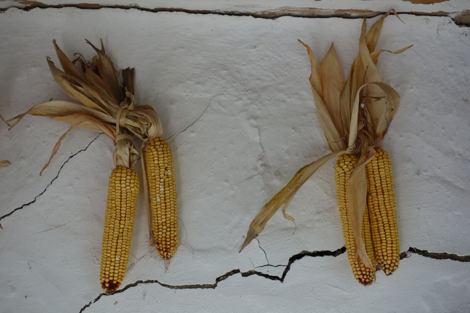 Sony Cyber-shot DSC-RX100 sample photo. Corn, folk, rustico photography