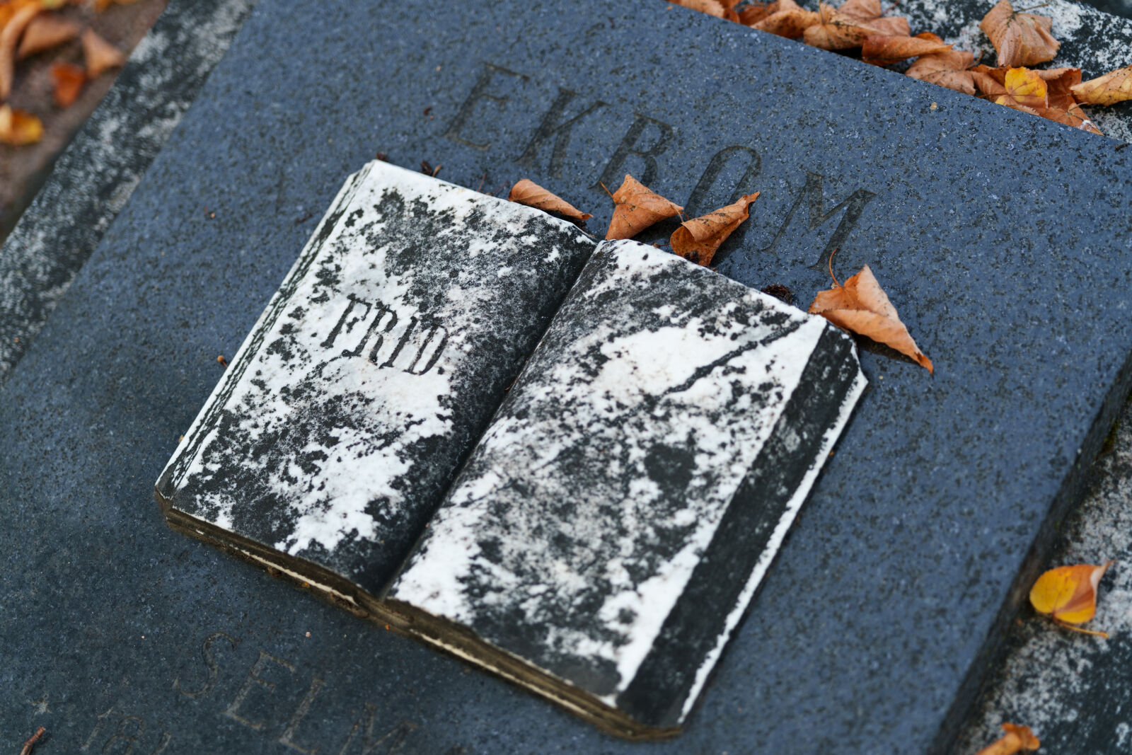 Sigma 28-105mm F2.8 DG DN | Art sample photo. Old tombstone leaves photography