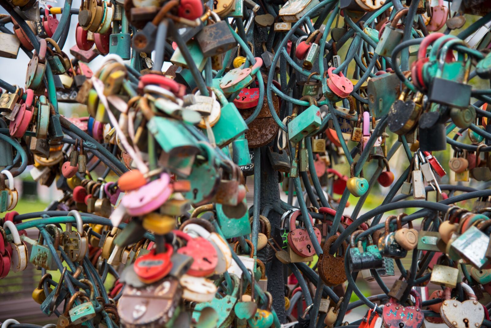 Nikon D750 sample photo. Padlock, tree, wedding photography