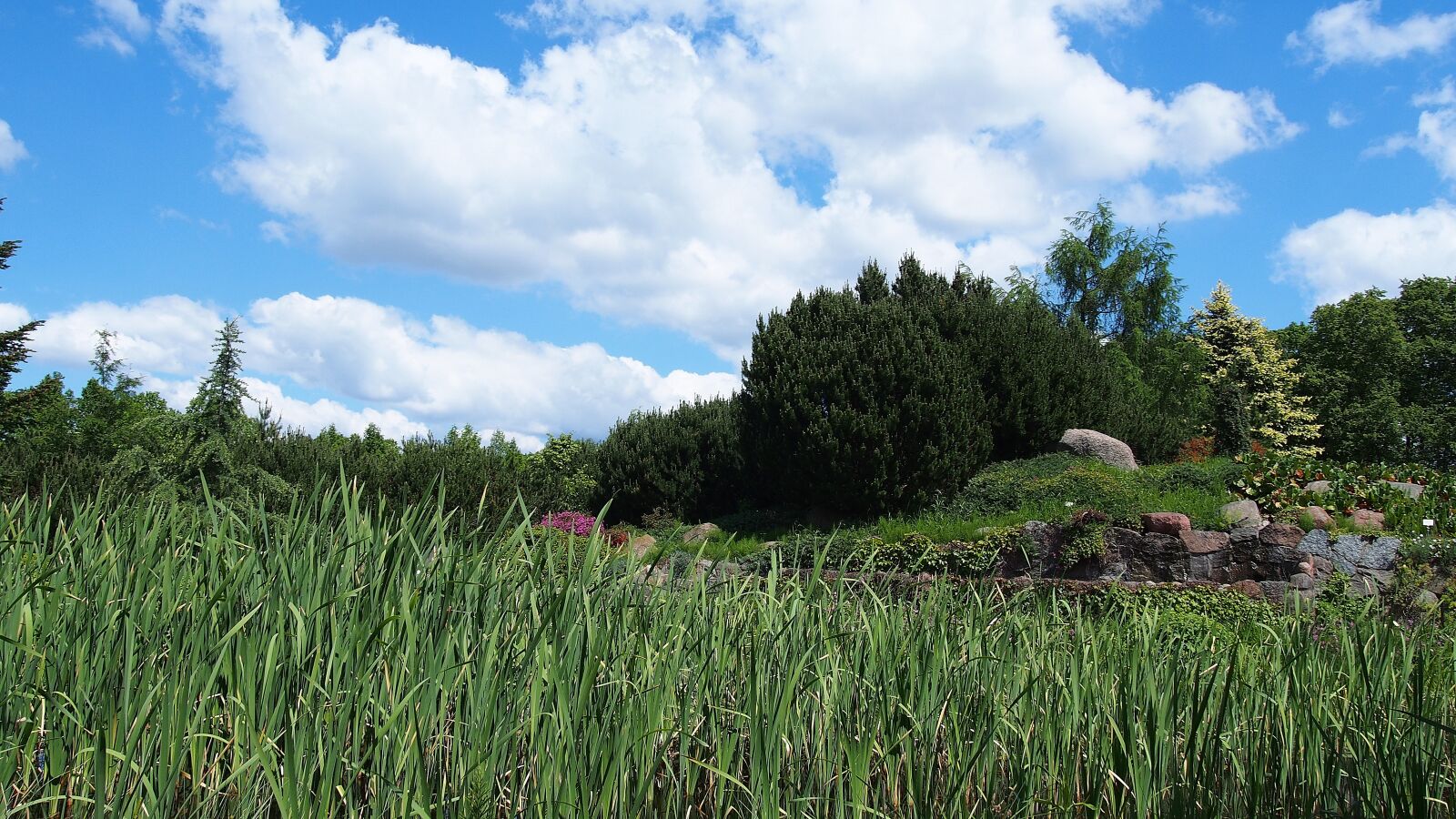 Olympus PEN E-PL6 sample photo. Landscape, nature, cloud photography