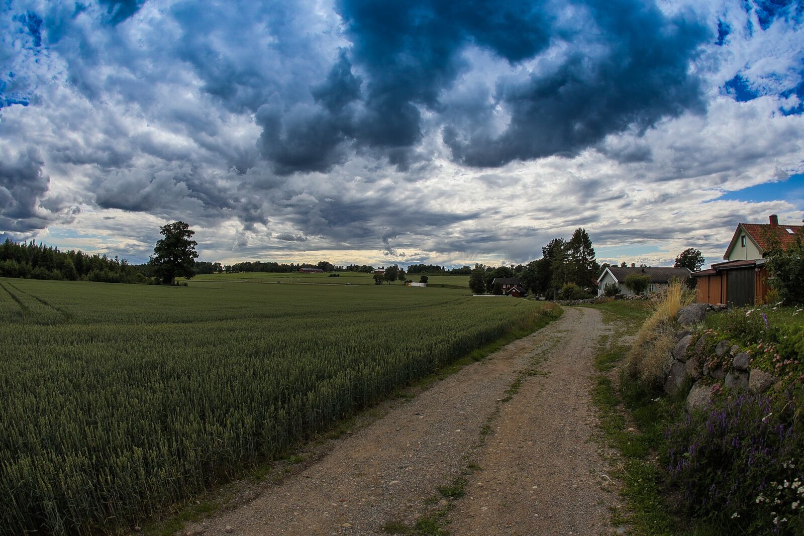 Canon EOS R sample photo. Landscape, sky, field photography