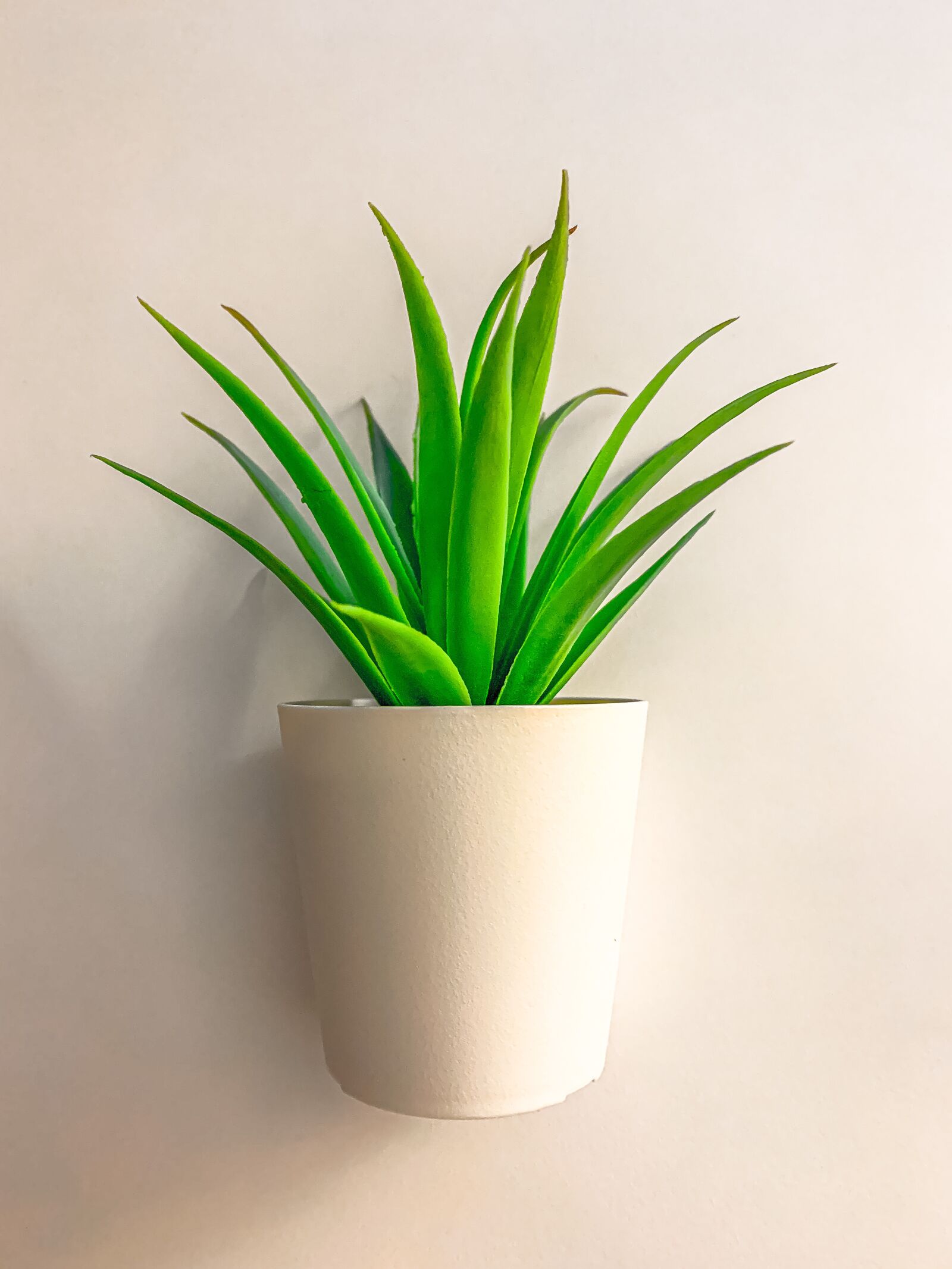 Apple iPhone XS sample photo. Flower, office, artificial photography