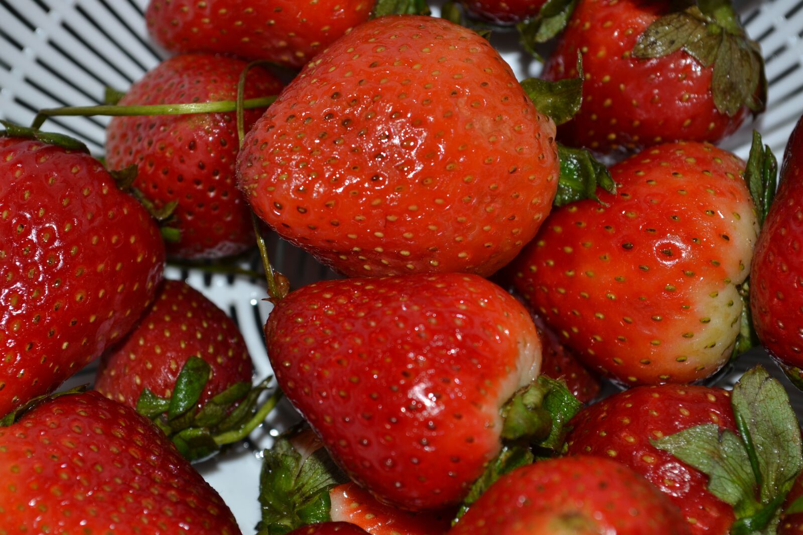 Nikon D3100 sample photo. Strawberries, fruit, strawberry photography
