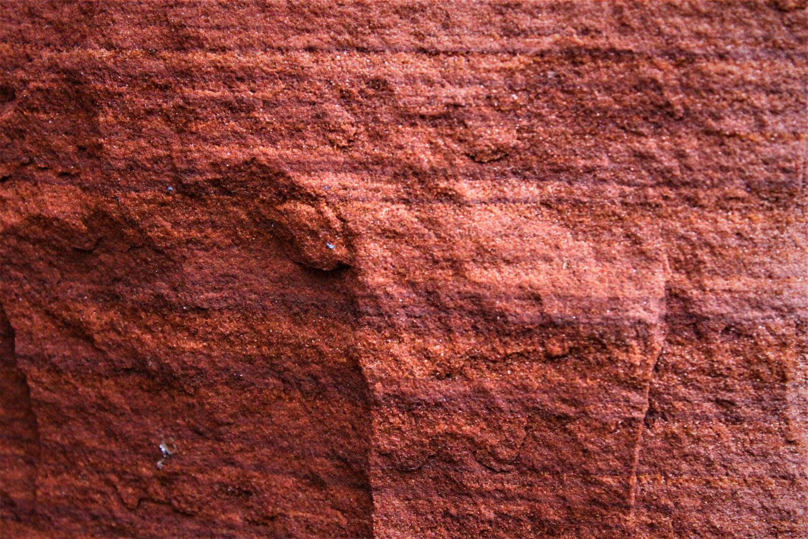 Canon EOS 1100D (EOS Rebel T3 / EOS Kiss X50) sample photo. Rock, brown, nature photography