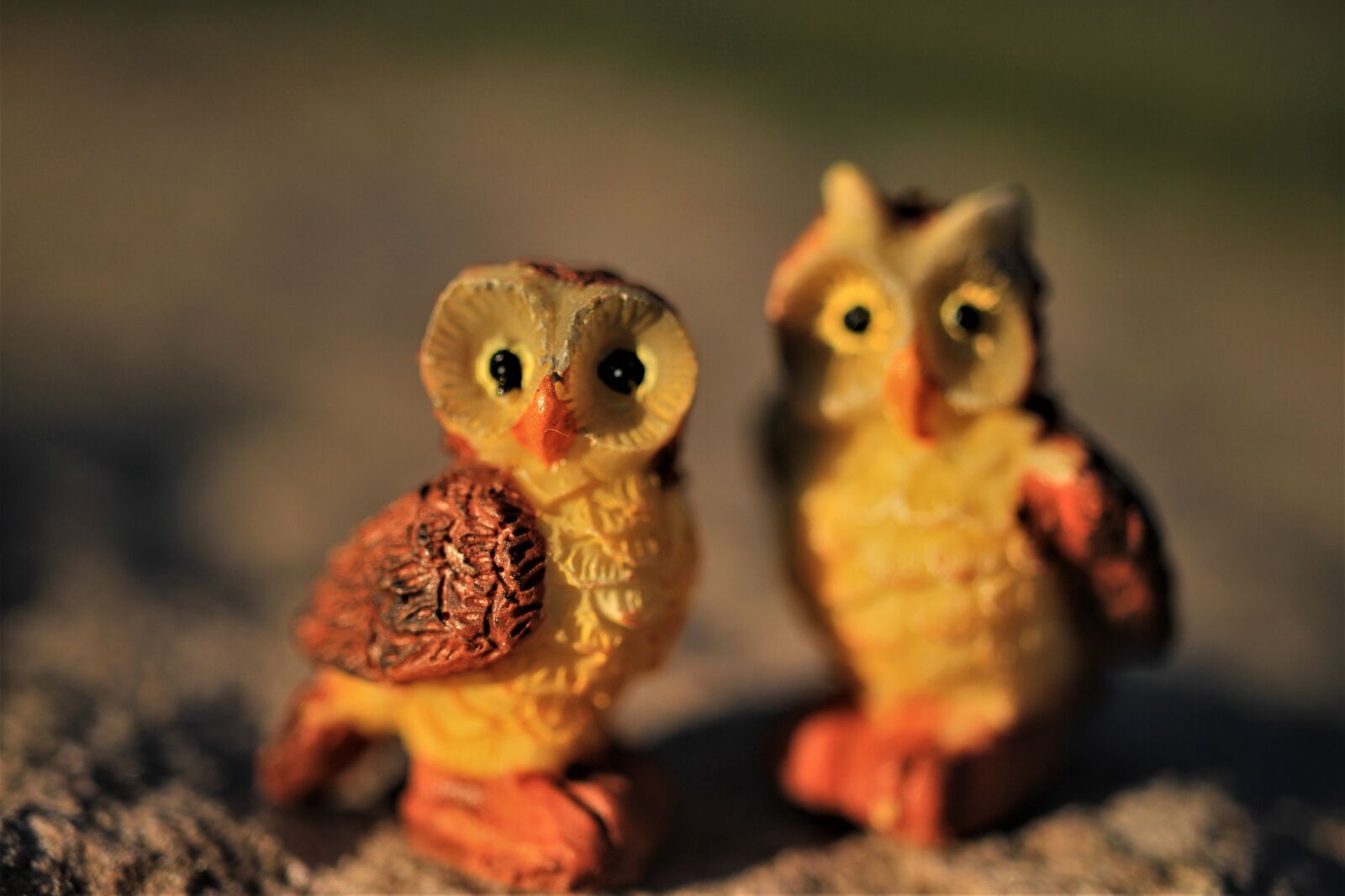 Canon EOS 7D sample photo. Owls, decoration, figures photography