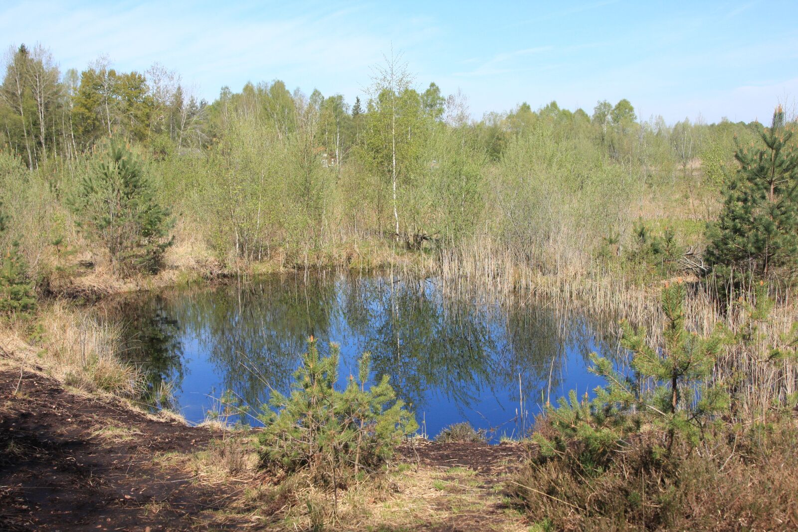 Canon EOS 40D sample photo. Lake, forest, water photography
