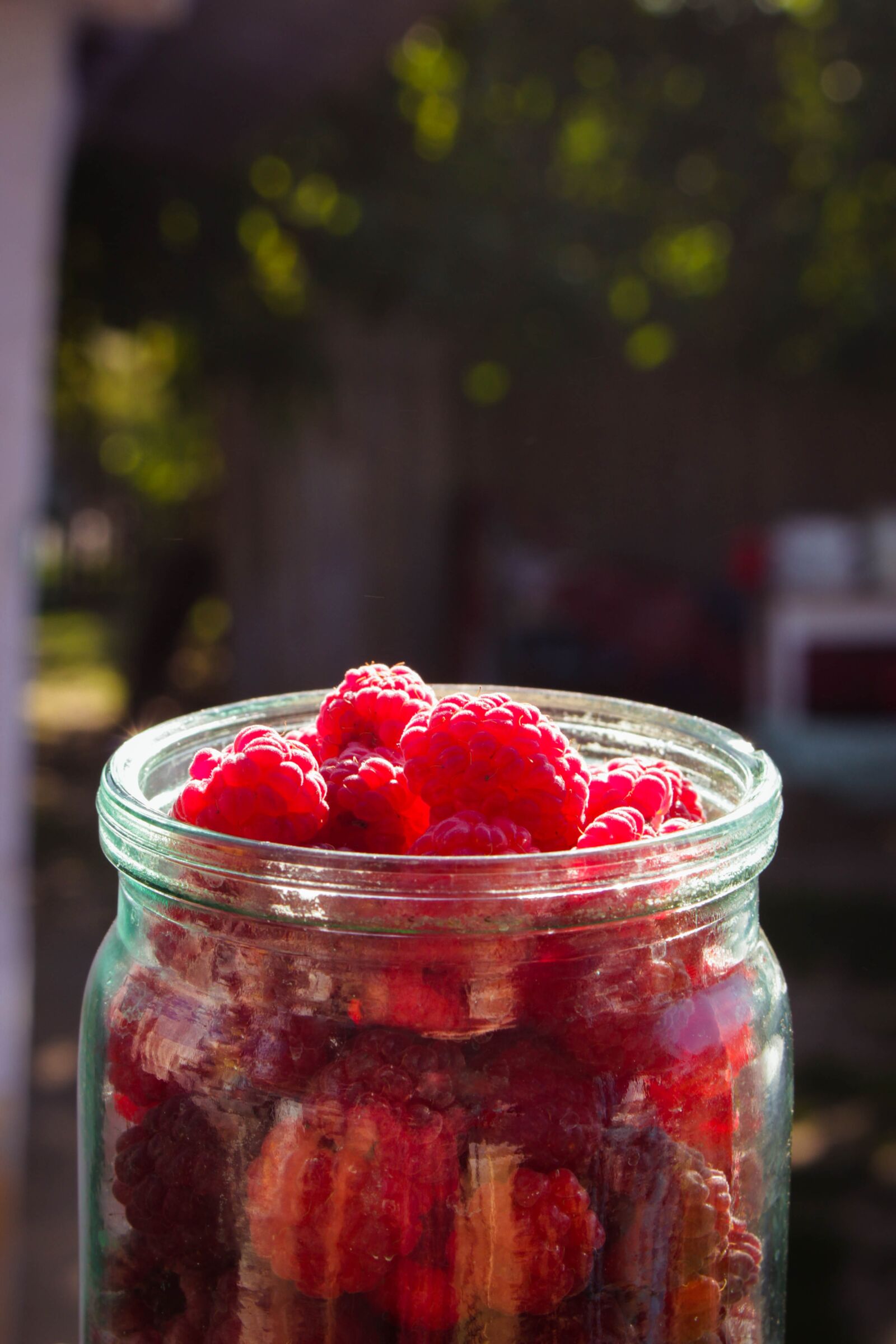 Canon EOS 700D (EOS Rebel T5i / EOS Kiss X7i) sample photo. Raspberry, tasty, fruit photography