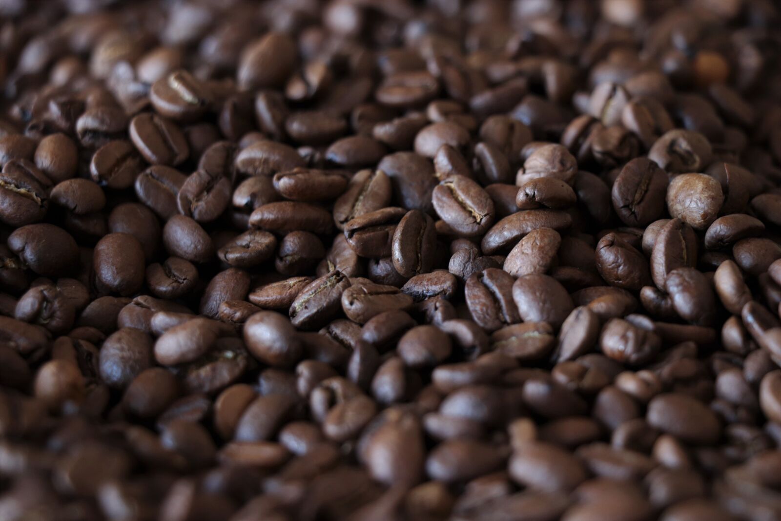 Canon EOS 77D (EOS 9000D / EOS 770D) sample photo. Coffee, grain, caffeine photography