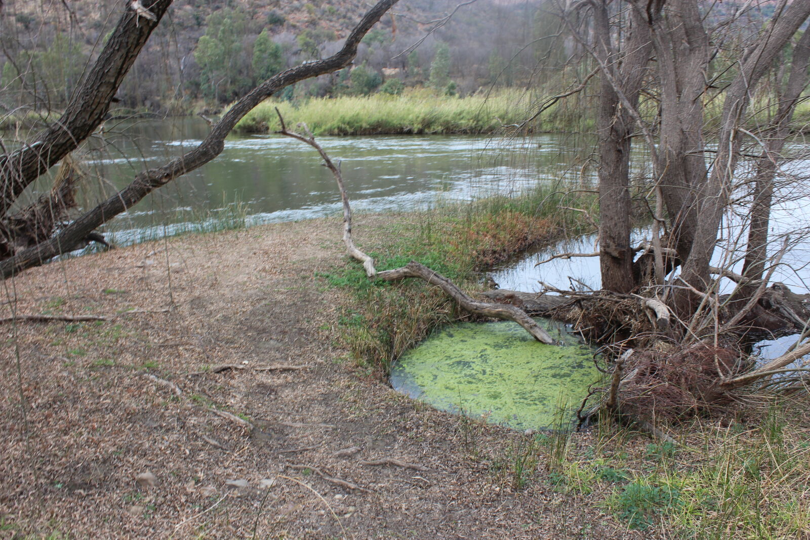 Canon EOS 1200D (EOS Rebel T5 / EOS Kiss X70 / EOS Hi) sample photo. River, south, africa photography