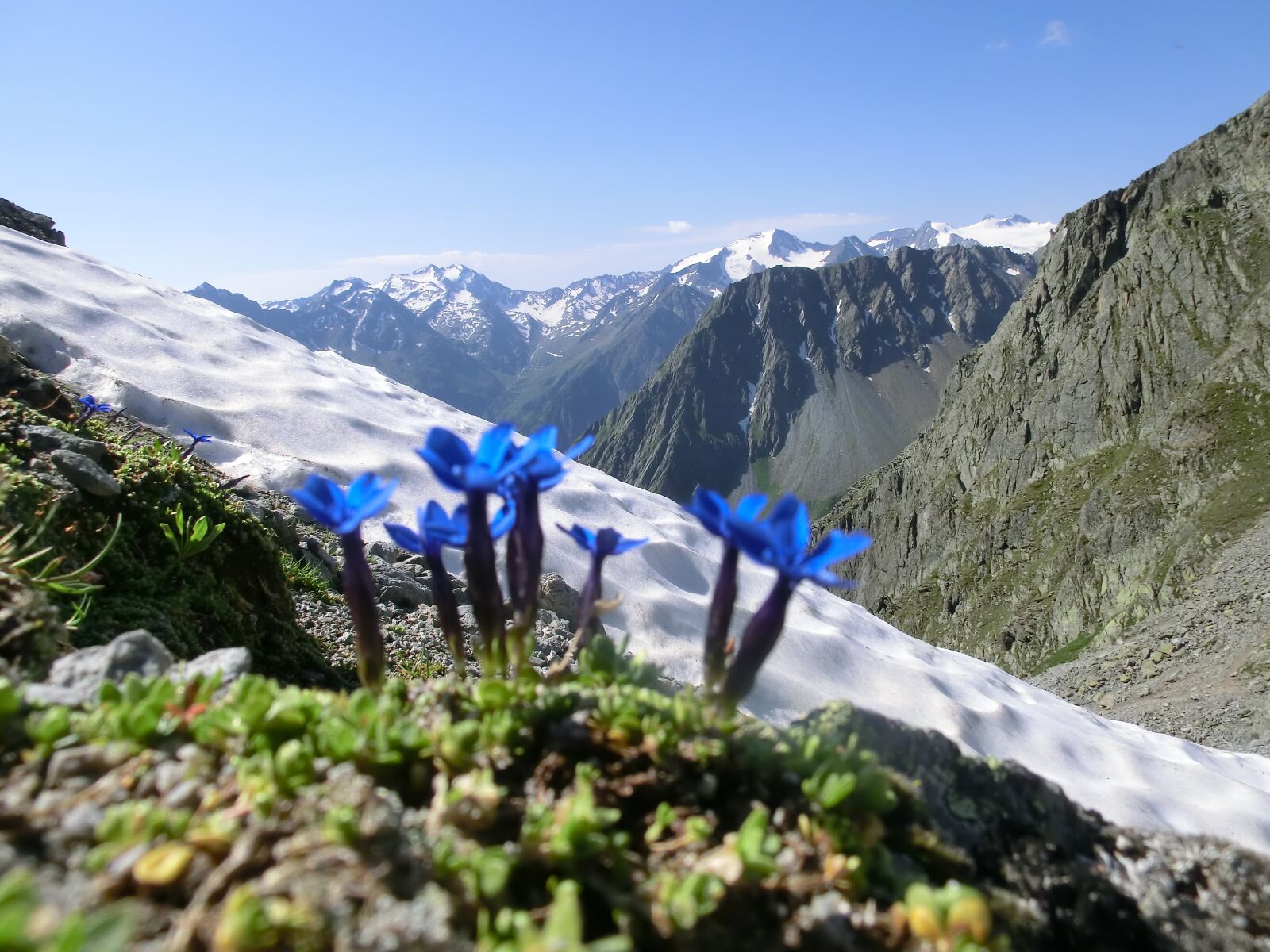 CASIO EX-H30 sample photo. Bassler yoke, the stubai photography