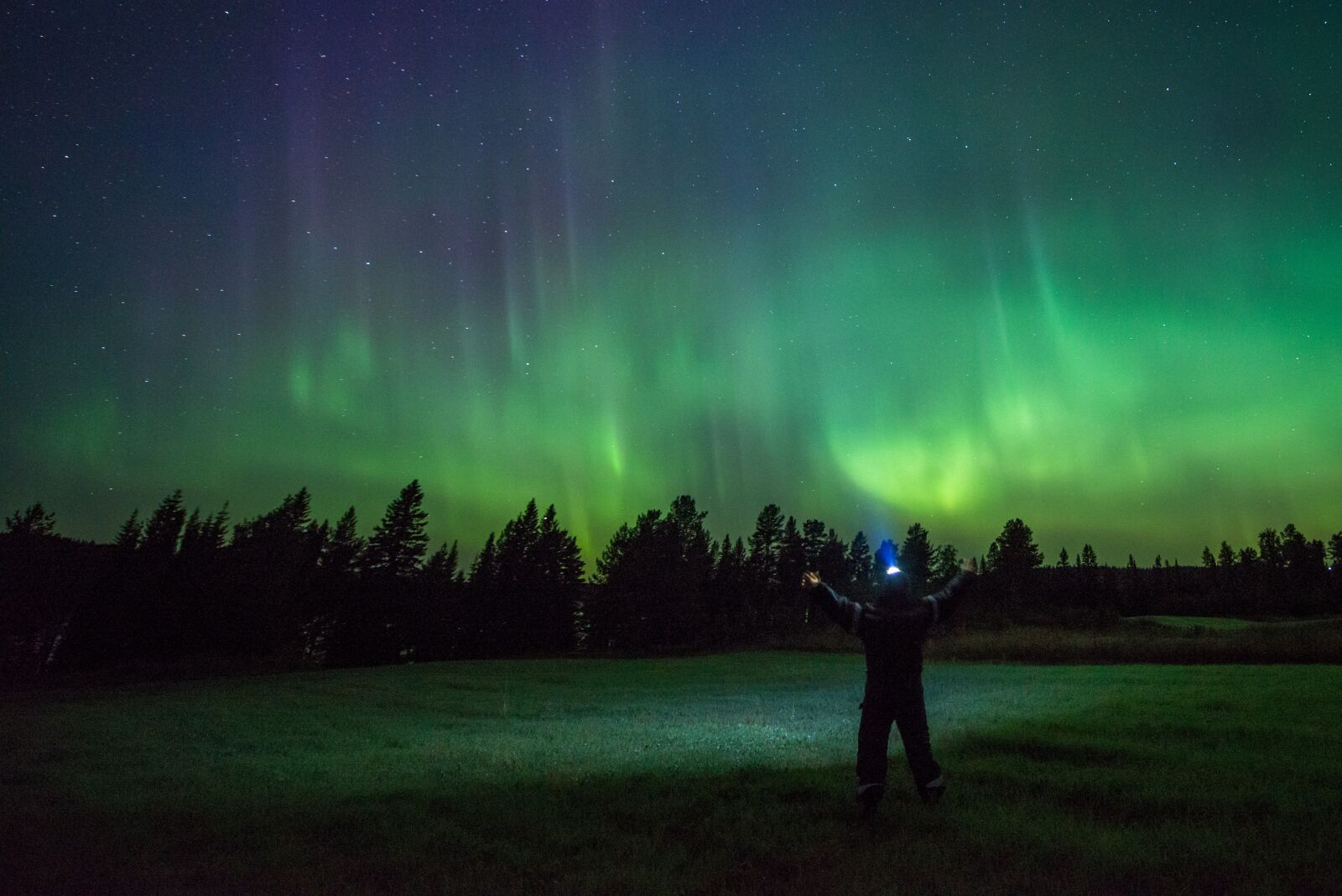 Nikon D800 sample photo. Northern lights, night shot photography
