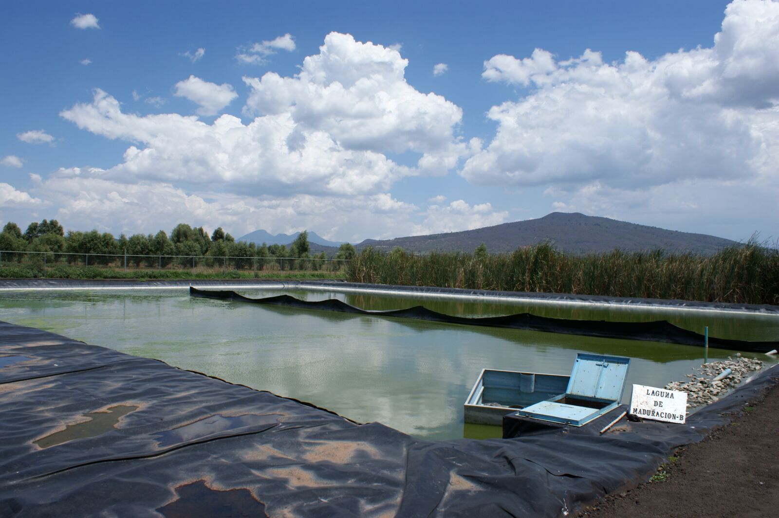Sony Alpha DSLR-A350 sample photo. Wetland, appropriate technology, treatment photography