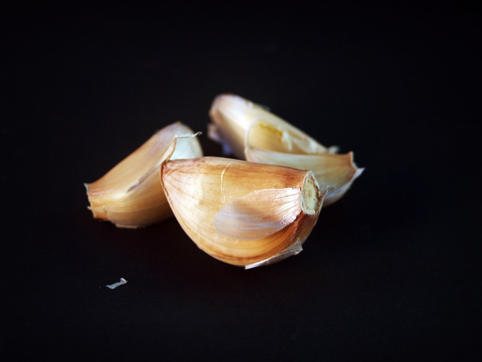Olympus E-300 (EVOLT E-300) sample photo. Garlic, meals, white photography