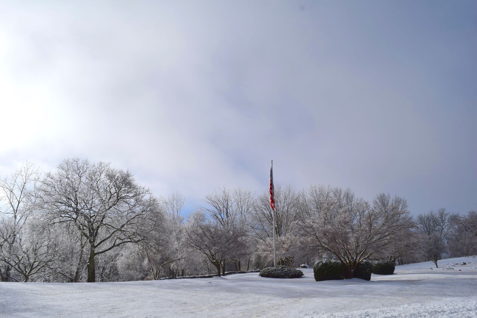 Nikon D3300 sample photo. Snow, winter, frost photography