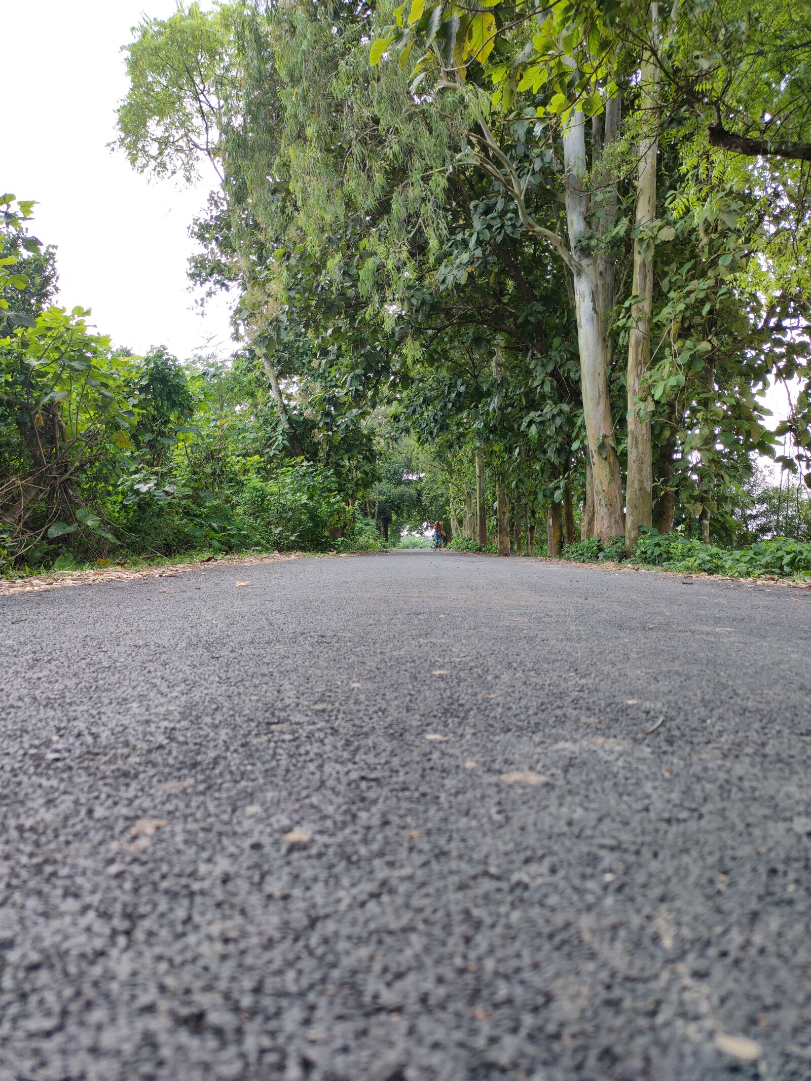 Realme XT sample photo. Road, path, trees photography