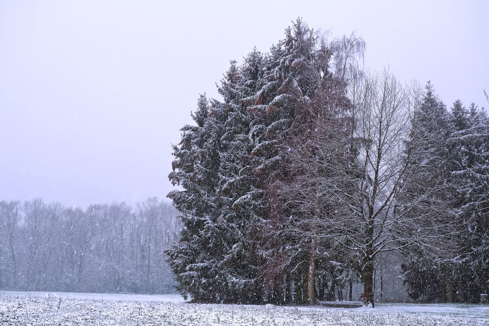 Olympus OM-D E-M10 sample photo. Landscape, winter, snow photography