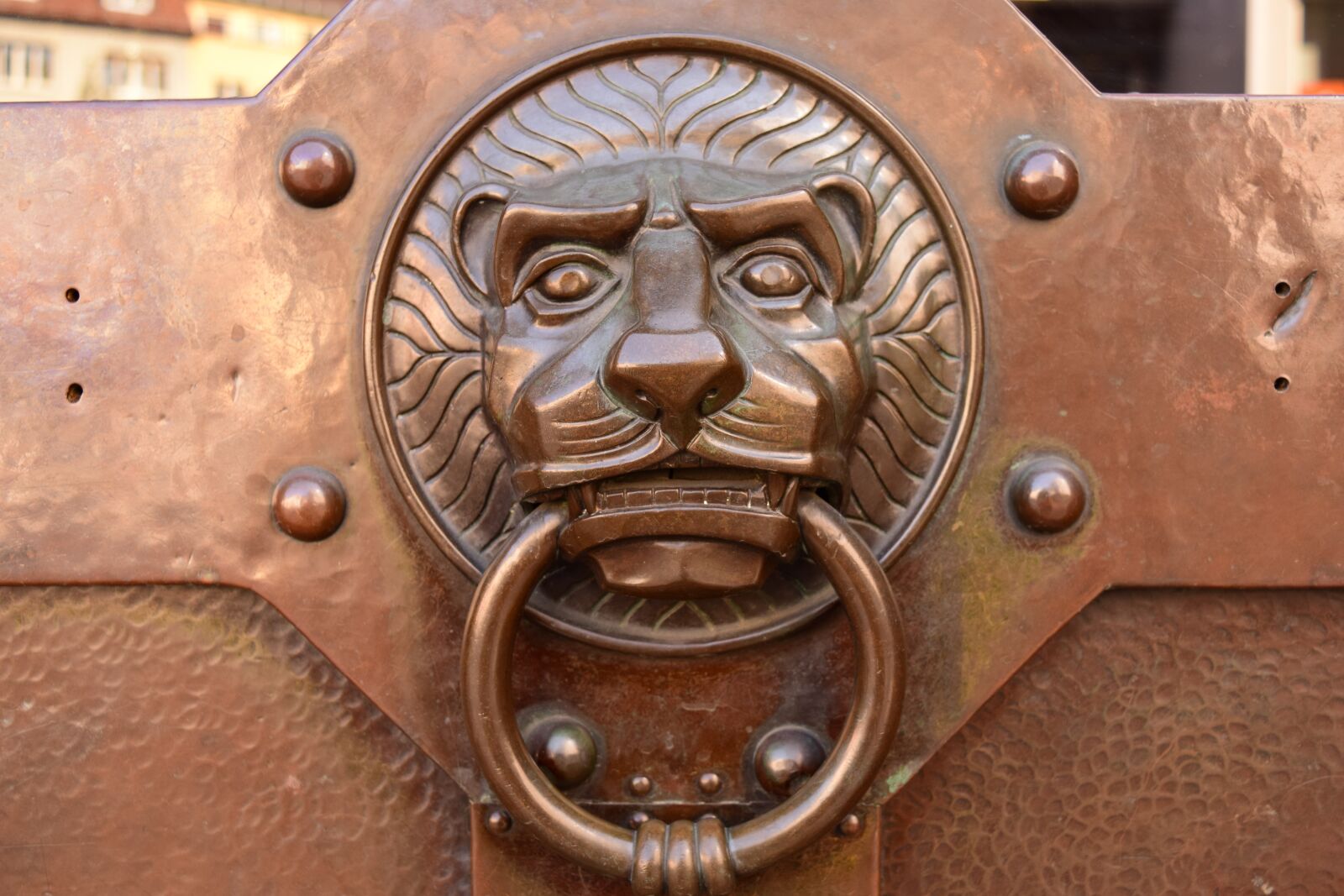 Nikon D3300 sample photo. Doorknocker, lion head, brass photography