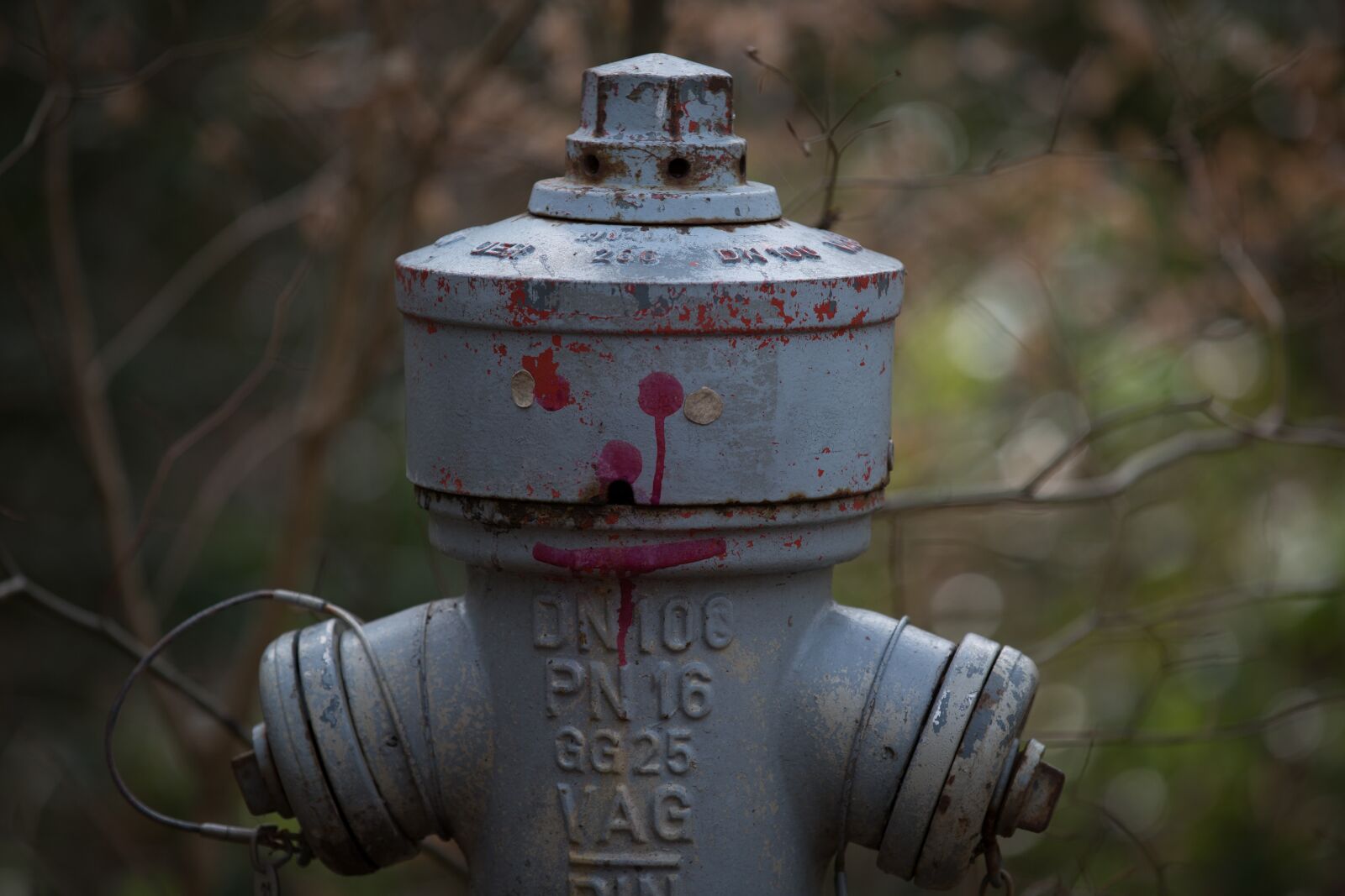 Canon EF 70-200mm F2.8L IS II USM sample photo. Hydrant, human, park photography