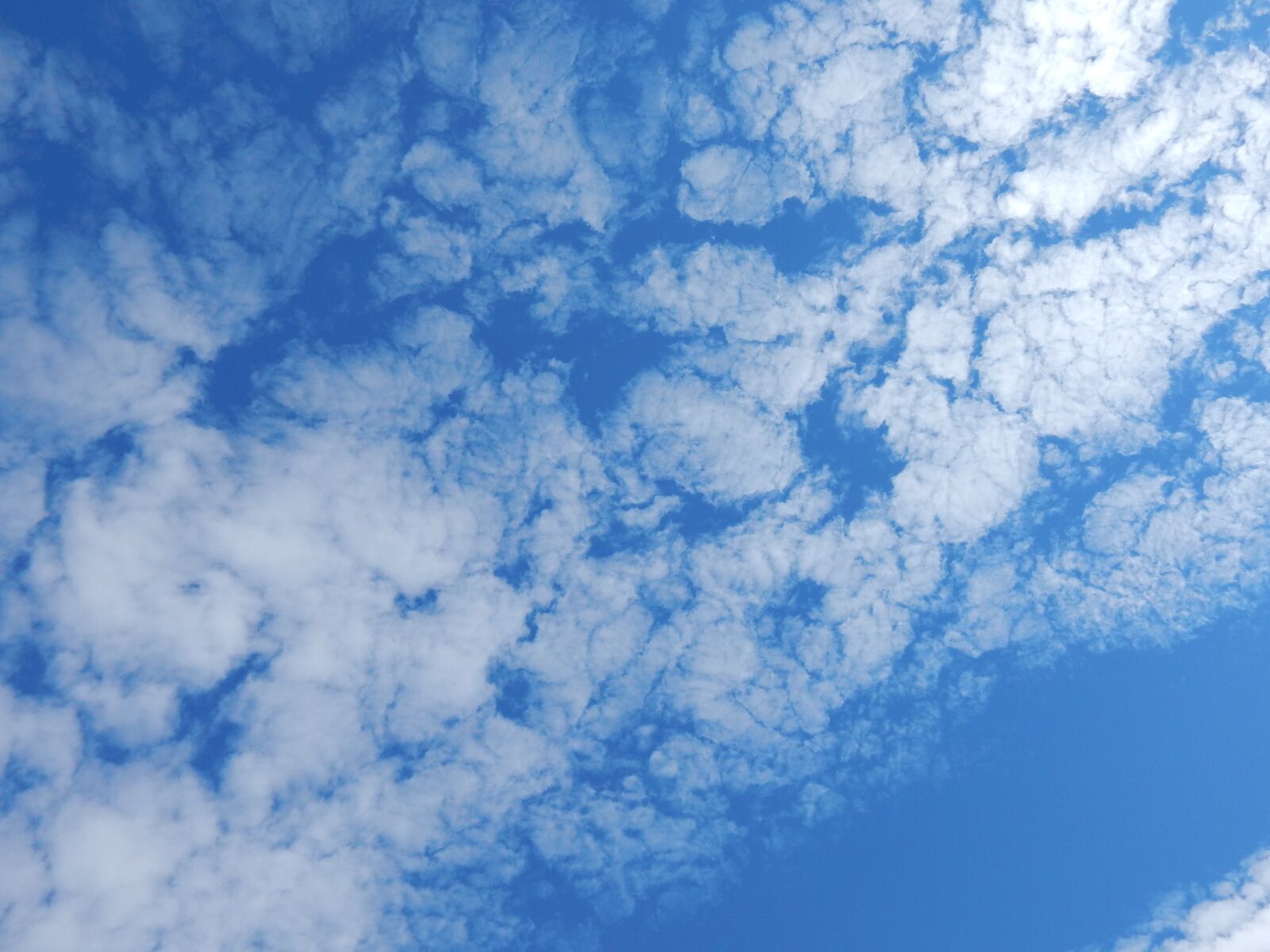Nikon Coolpix L830 sample photo. Cloud, sky, blue photography