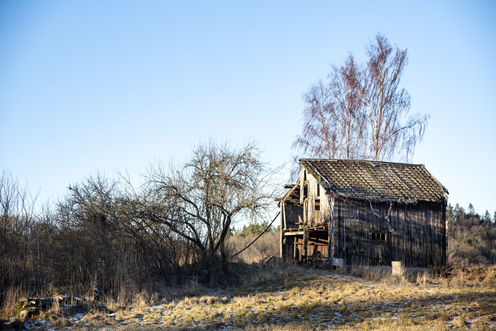 Nikon D750 sample photo. Winter, hovel, old barn photography