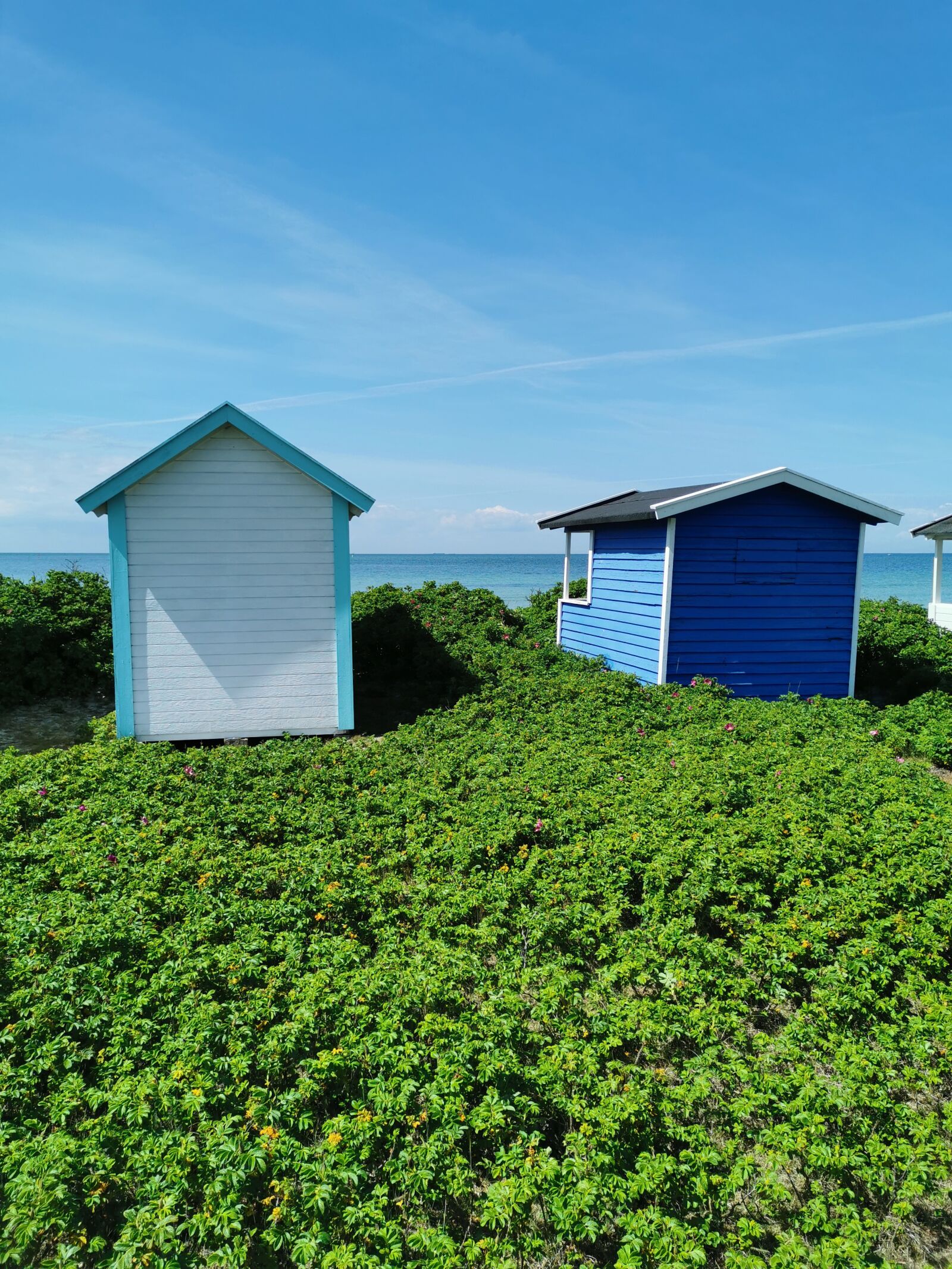 HUAWEI P30 sample photo. Skan r, falsterbo, n photography