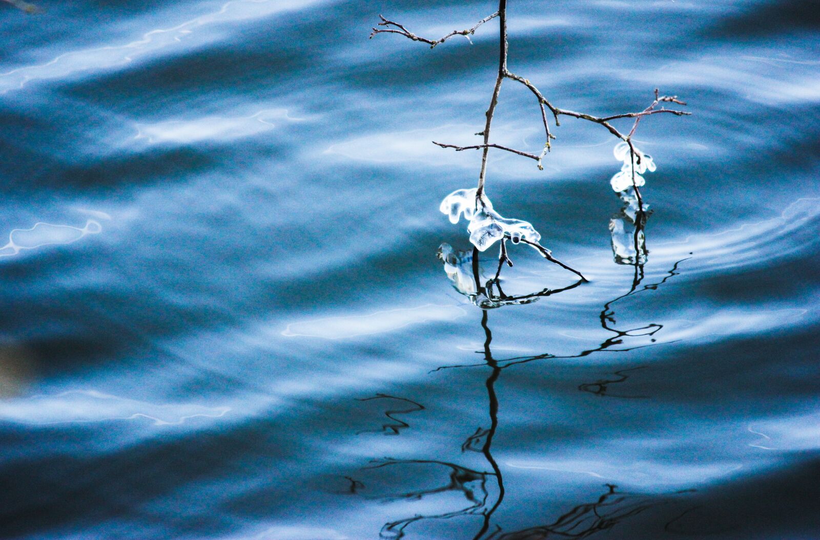 Canon EOS 550D (EOS Rebel T2i / EOS Kiss X4) sample photo. Ice, winter, water photography