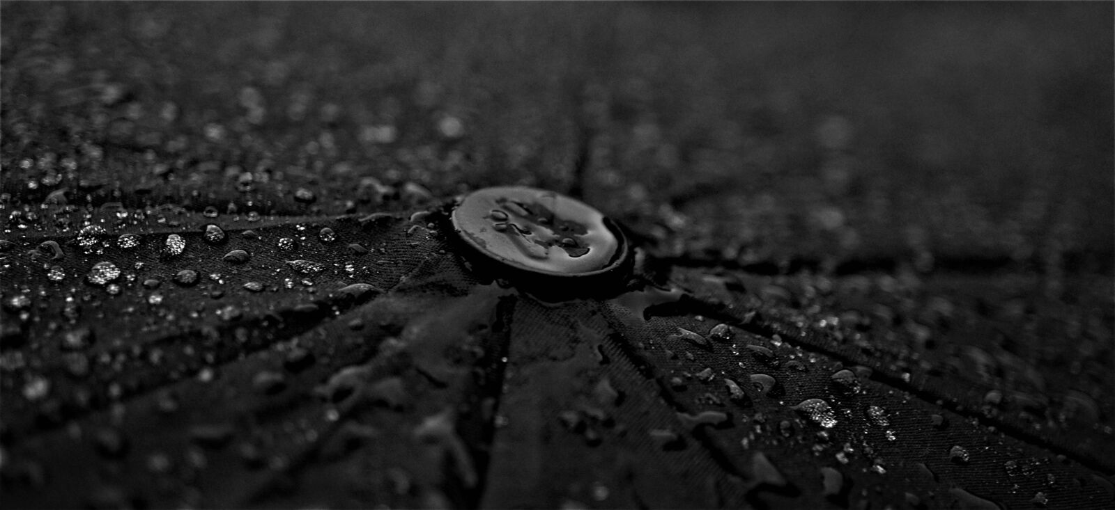 Sony a6000 sample photo. Umbrella, rainy weather, background photography