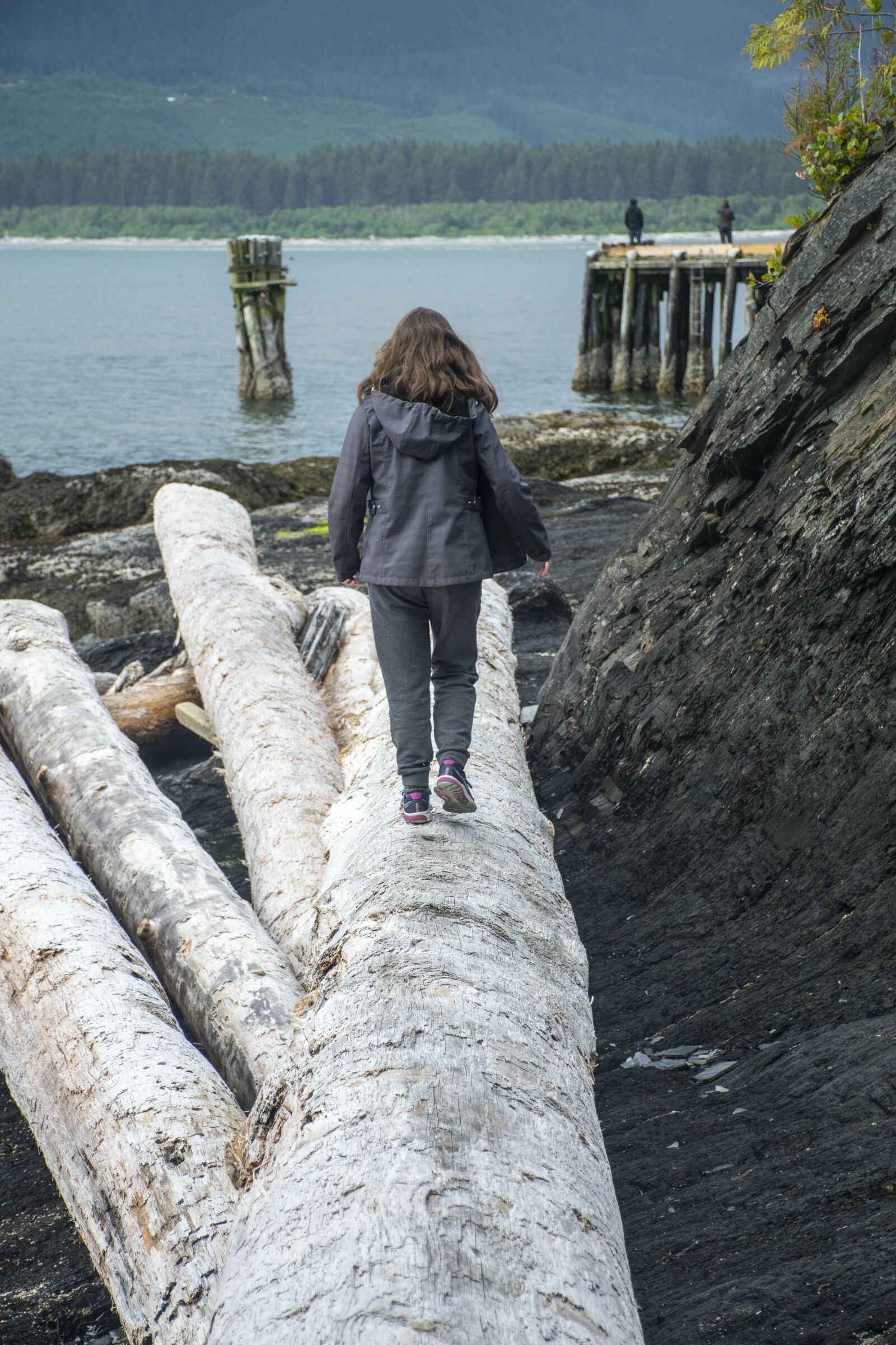 Nikon D5300 sample photo. Driftwood, walking, rocks photography