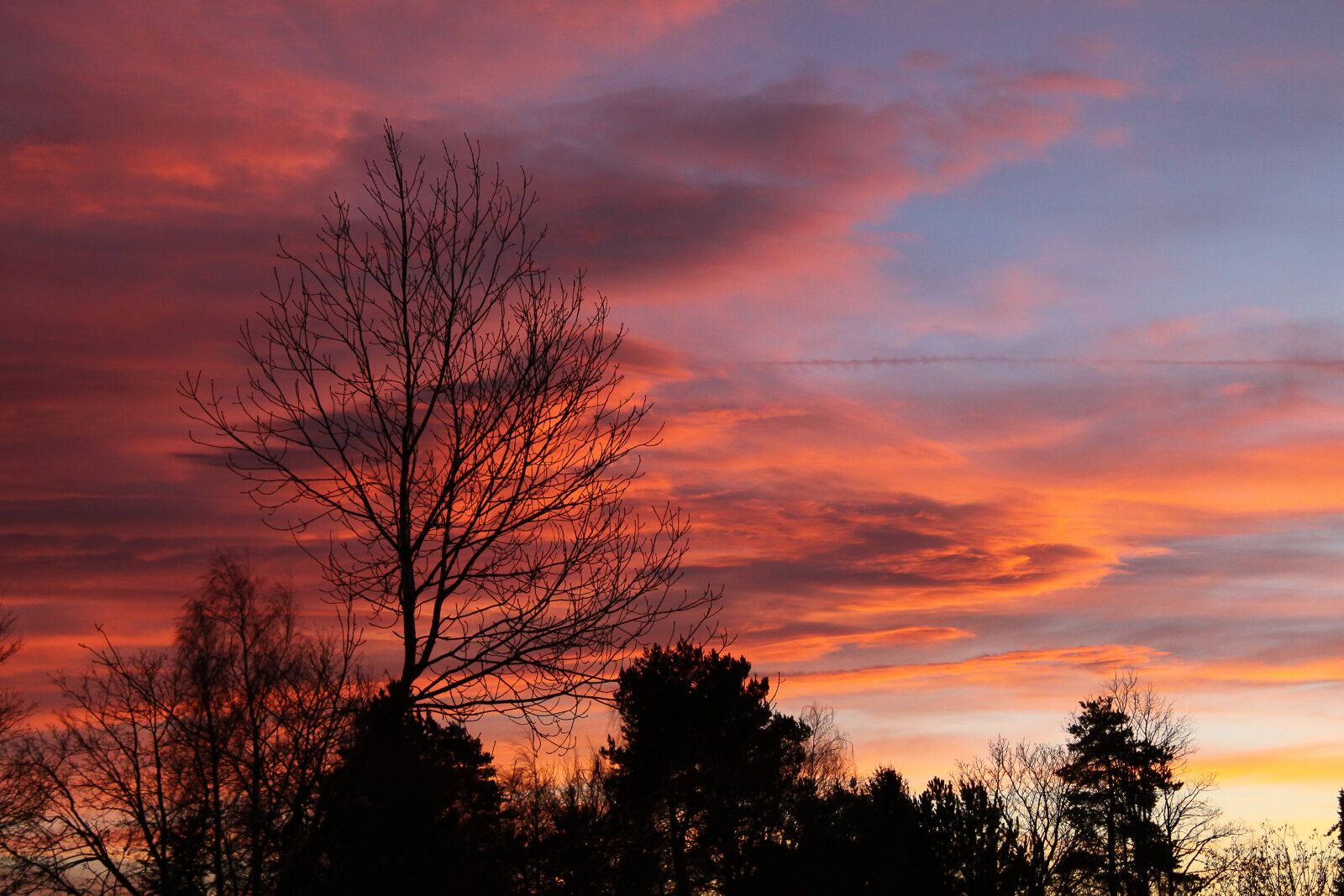 Canon EOS 50D sample photo. Evening sky, nature, abendstimmung photography