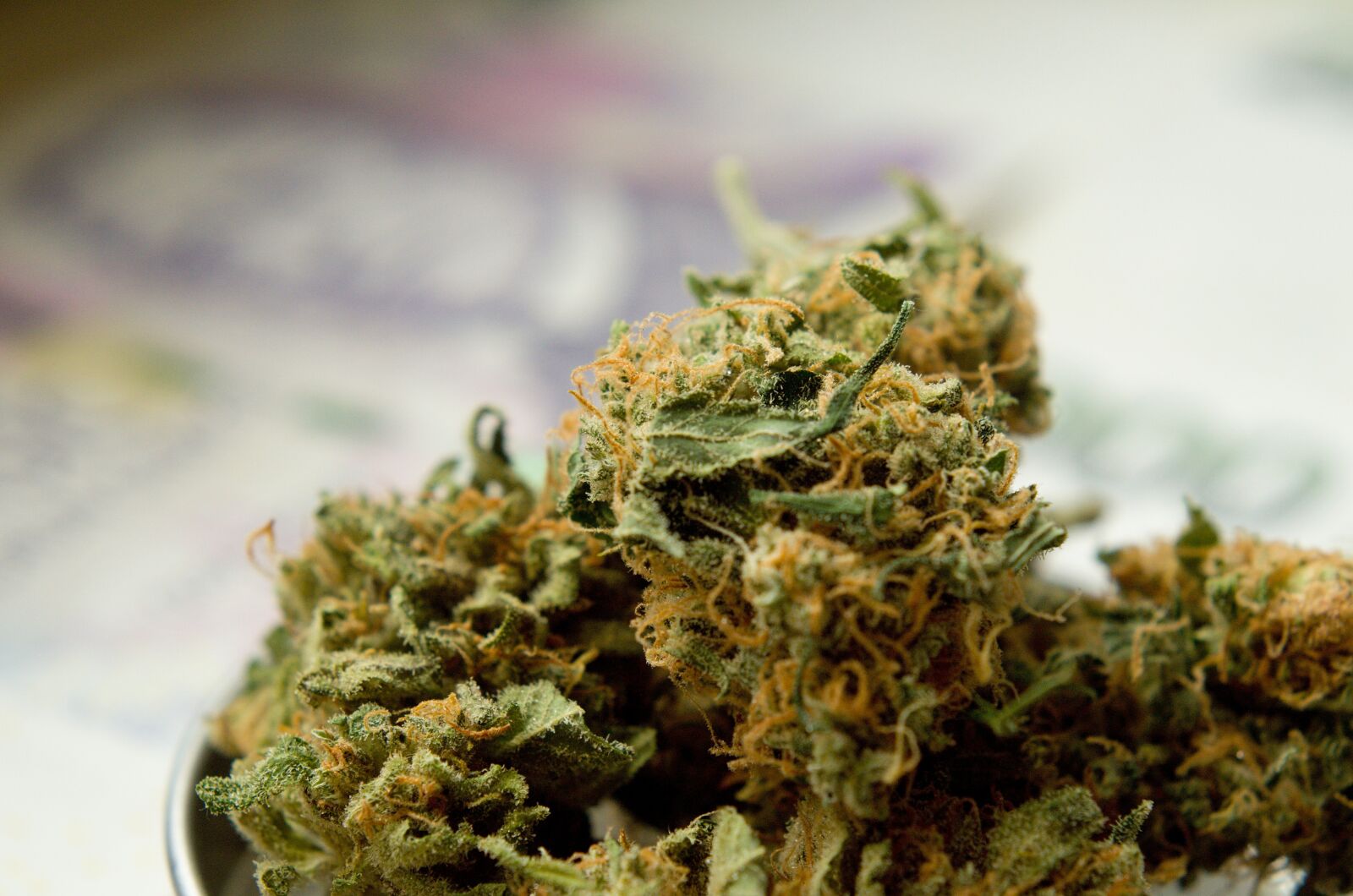 Nikon D7000 sample photo. Marijuana, drugs, herb photography