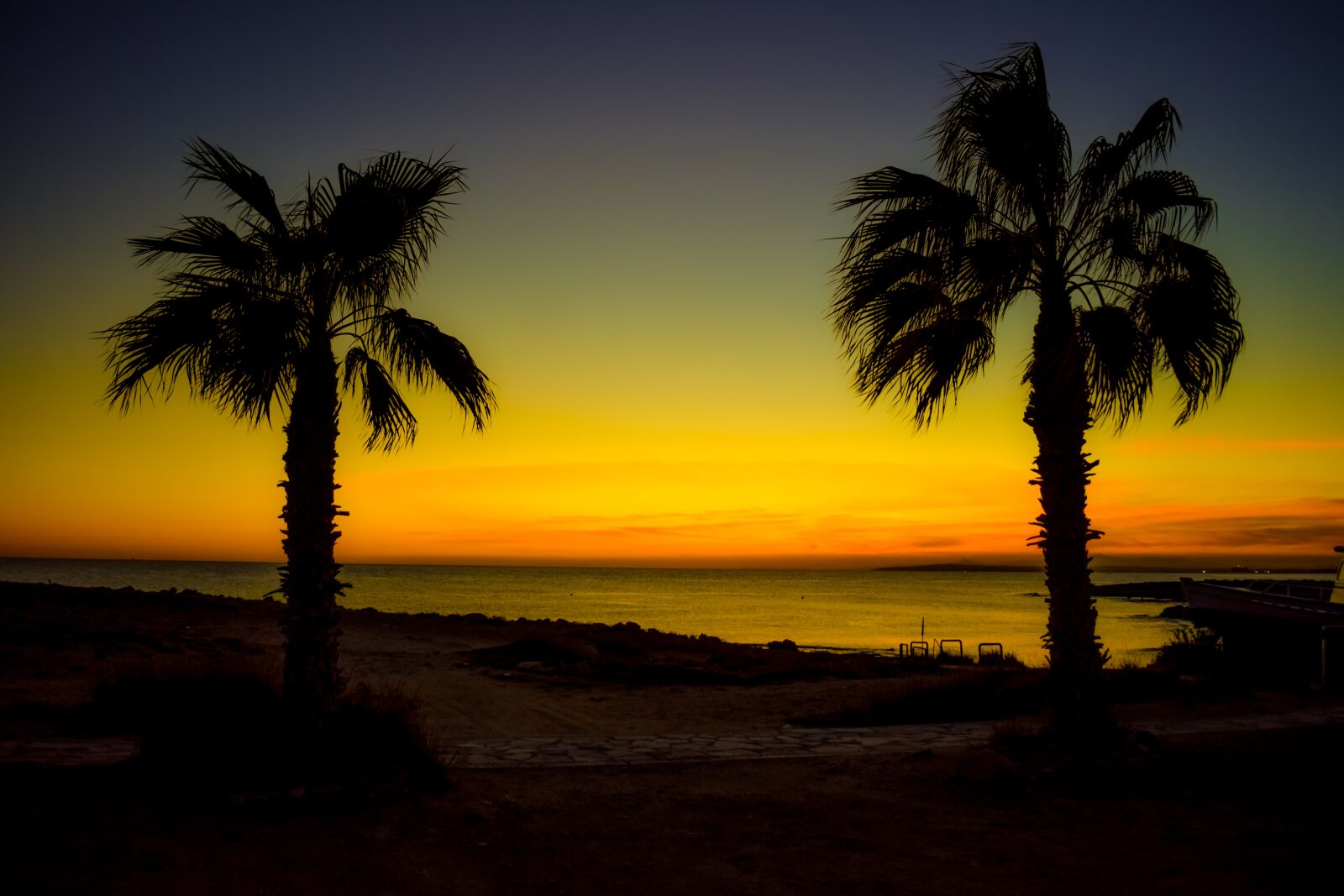 Nikon D3300 sample photo. Palm trees, twilight, sunset photography