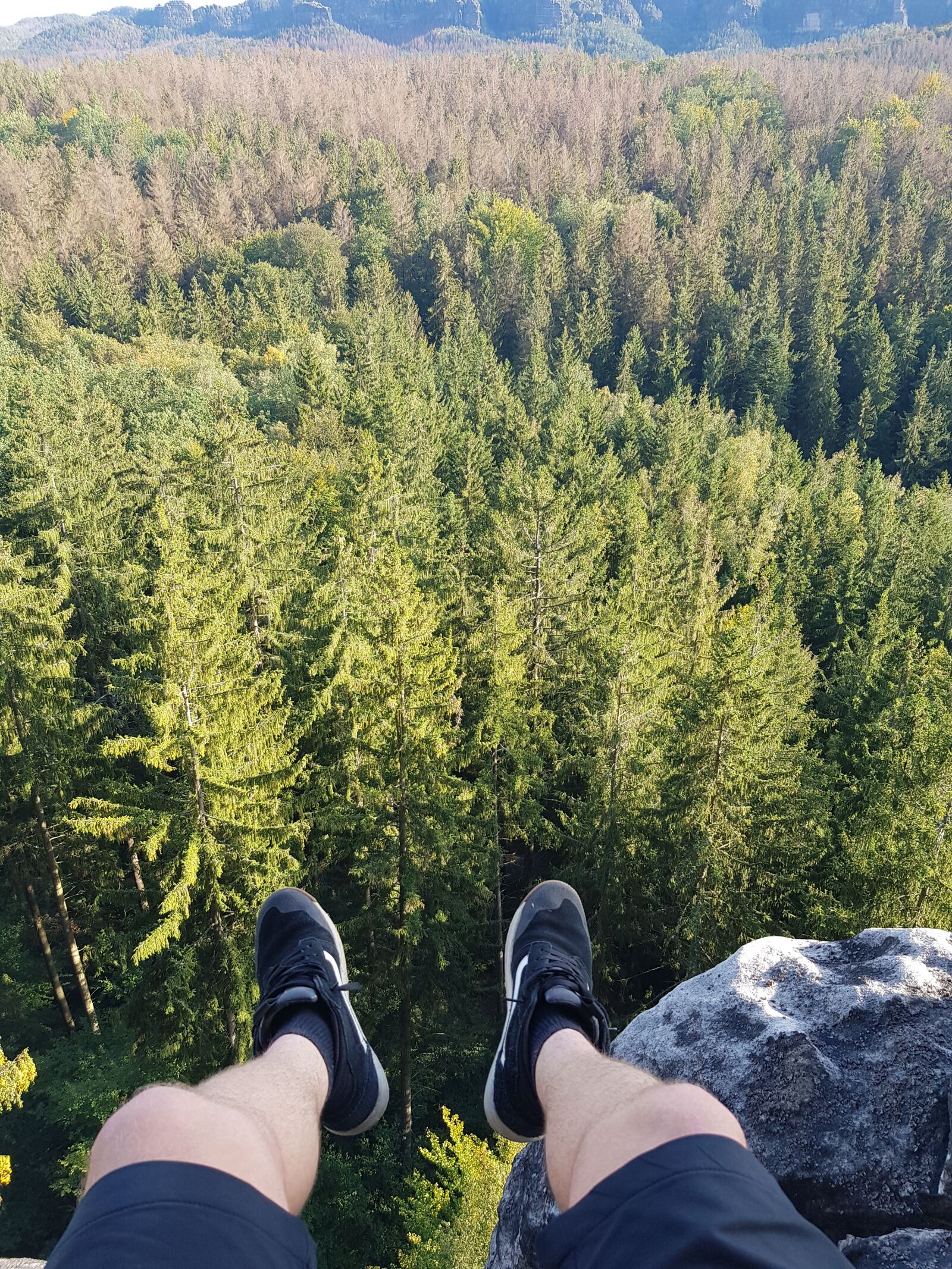 Samsung Galaxy S8+ sample photo. Nature, deutschland, germany photography