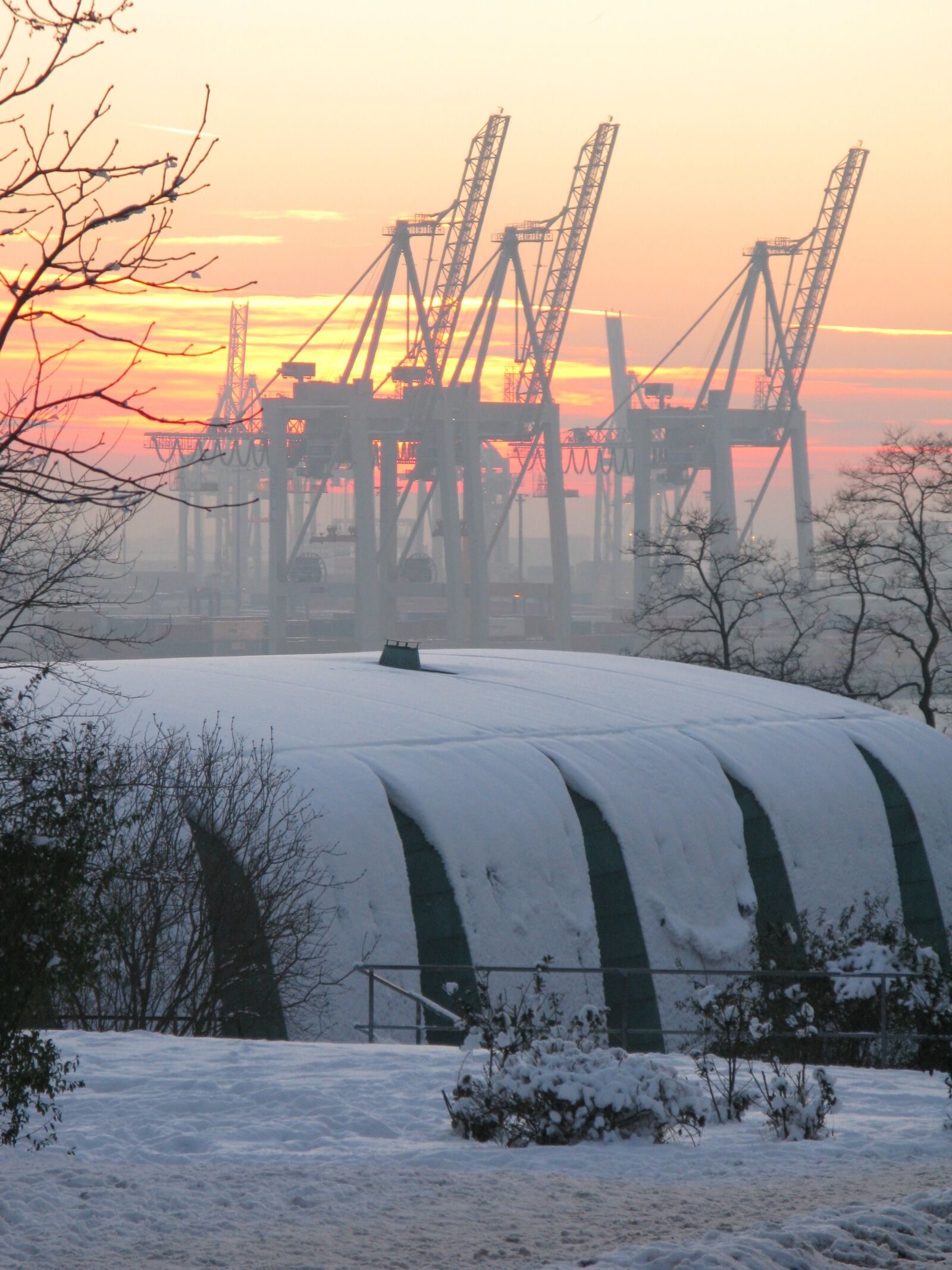 Canon POWERSHOT G9 sample photo. Elbe, cranes, winter photography