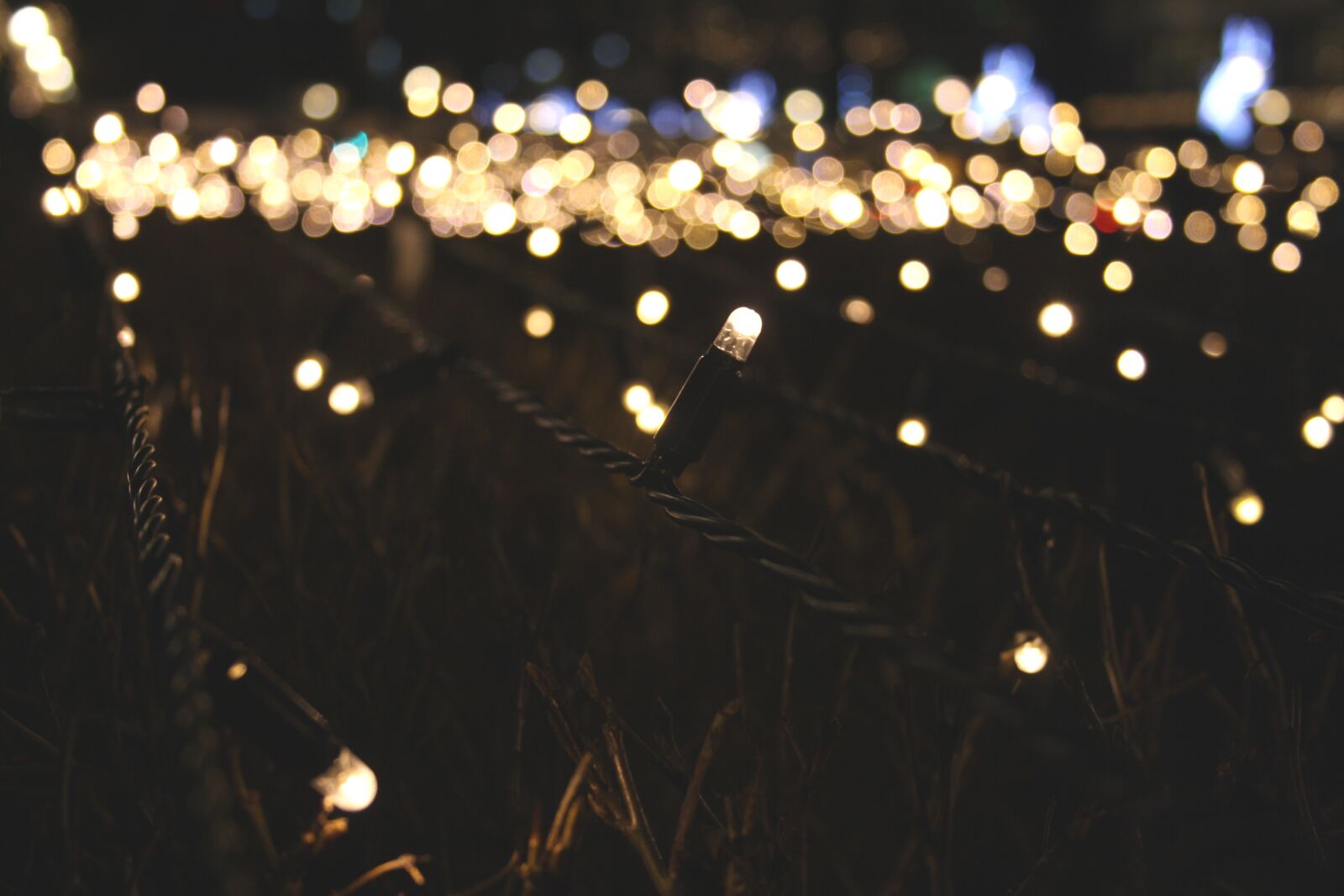 Canon EOS 1000D (EOS Digital Rebel XS / EOS Kiss F) sample photo. Lights, dark, night photography