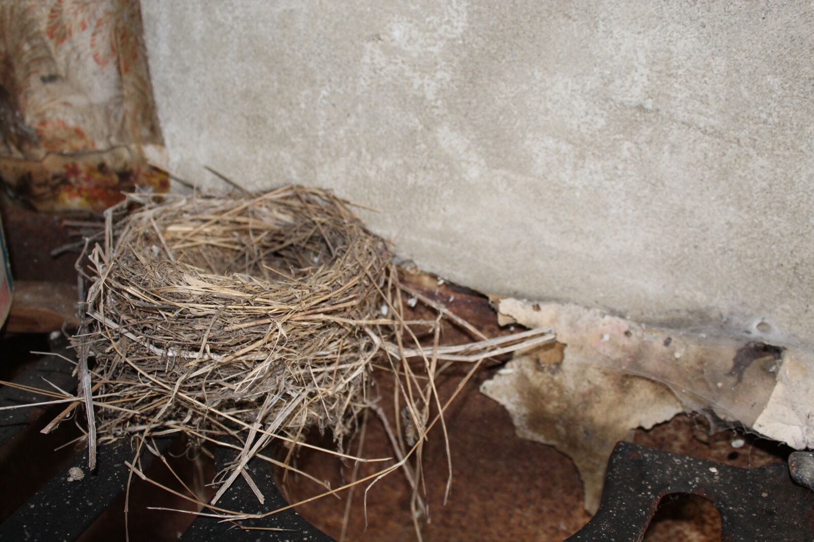 Canon EOS 1300D (EOS Rebel T6 / EOS Kiss X80) sample photo. Birds nest, old house photography