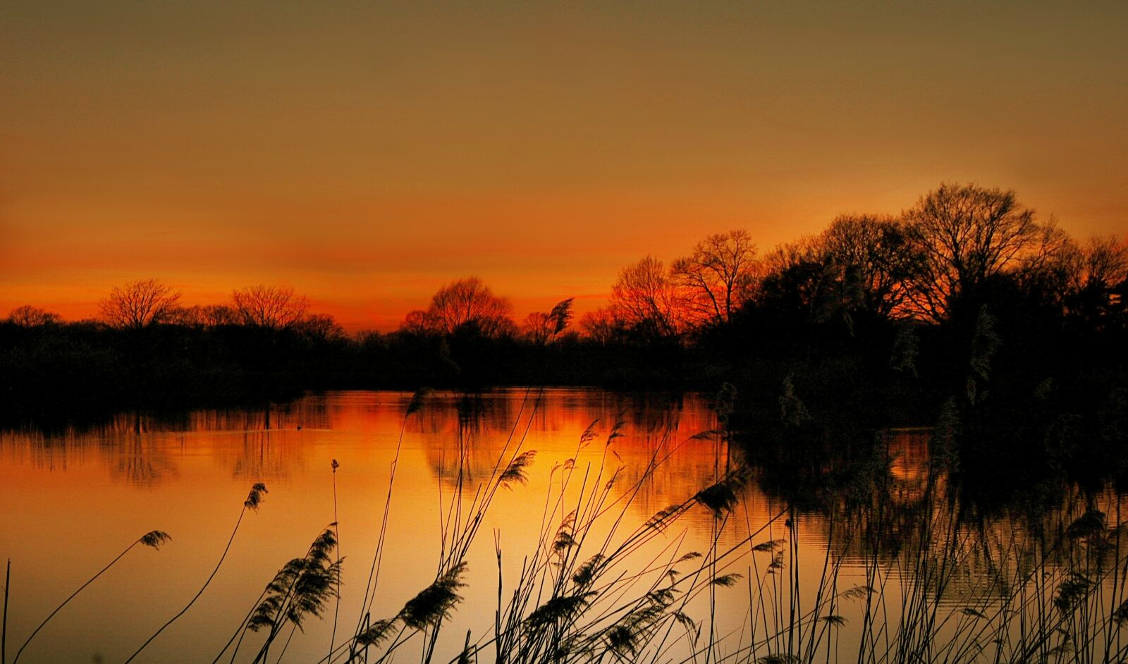 Nikon D40 sample photo. Lake, sun, evening photography