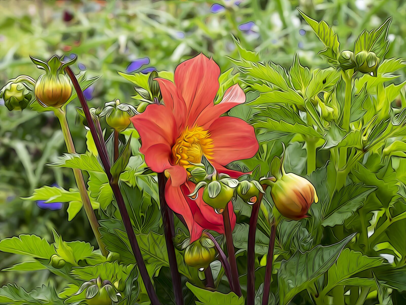 Olympus OM-D E-M1 sample photo. Flowers, dahlias, dahlia photography