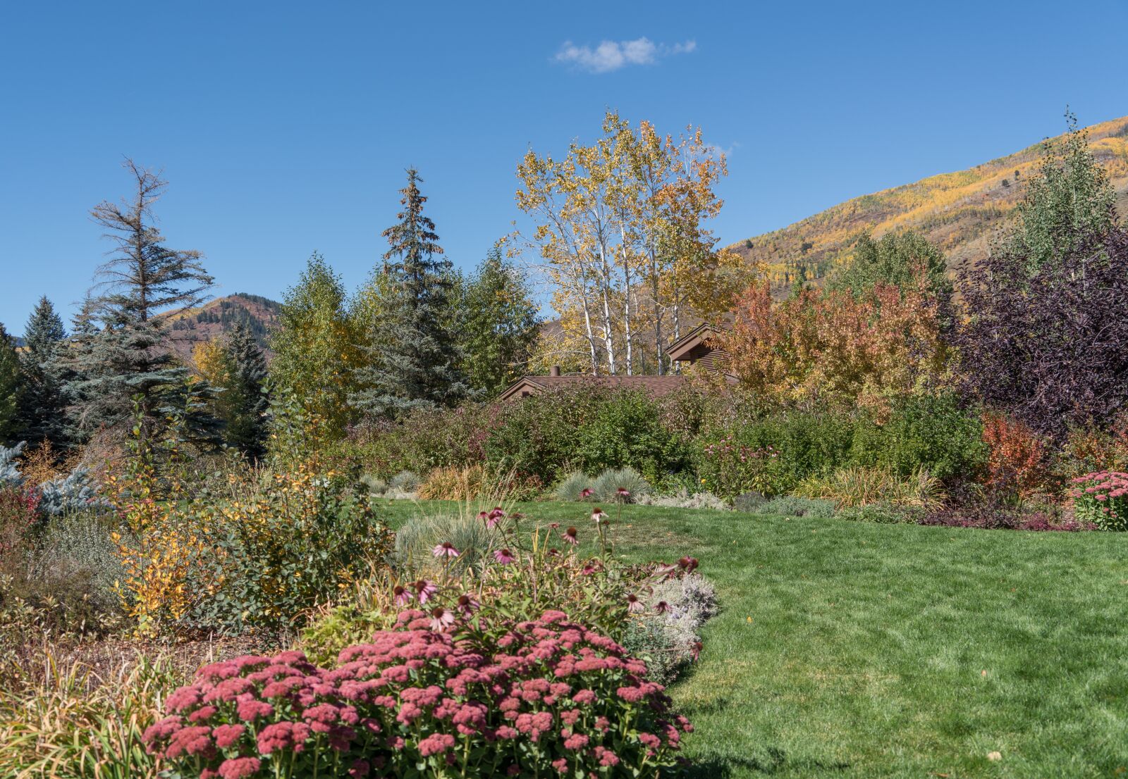 Sony a7R II + Sony FE 24-240mm F3.5-6.3 OSS sample photo. Foliage, vail, colorado photography
